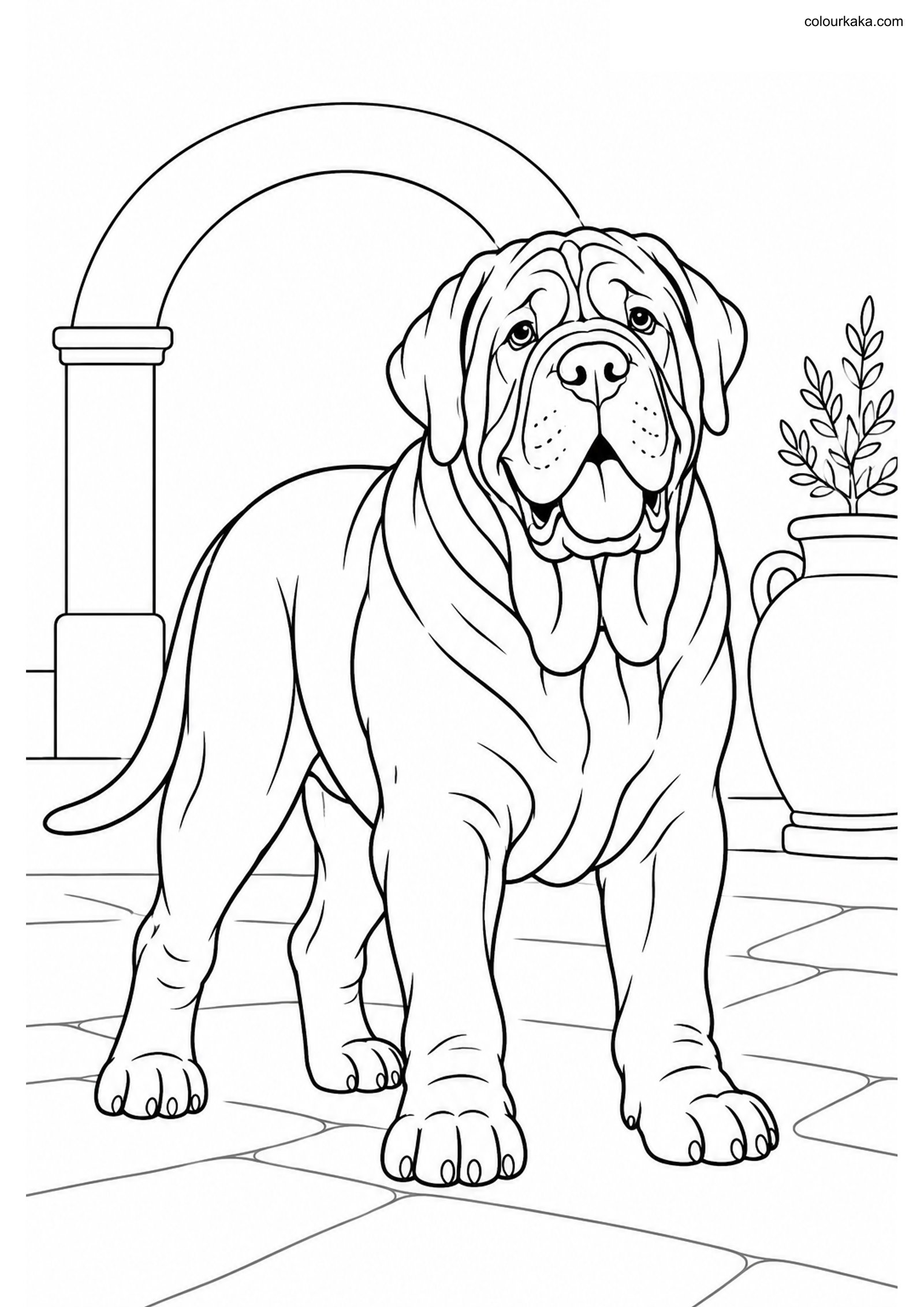 Neapolitan Mastiff Coloring colouring page preview