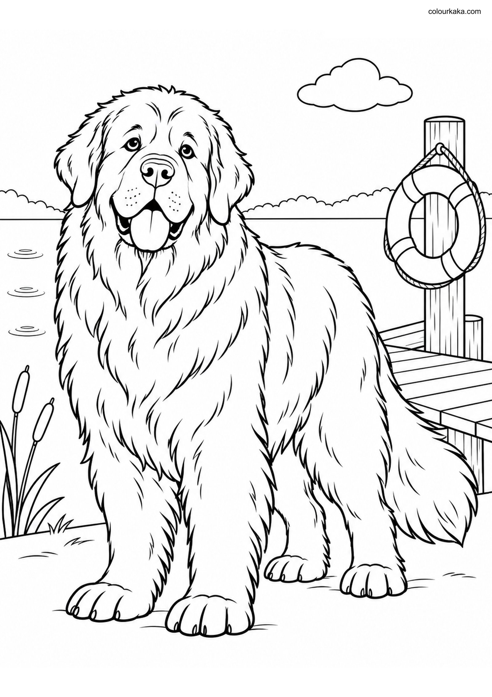 Newfoundland Dog Colouring Page colouring page preview