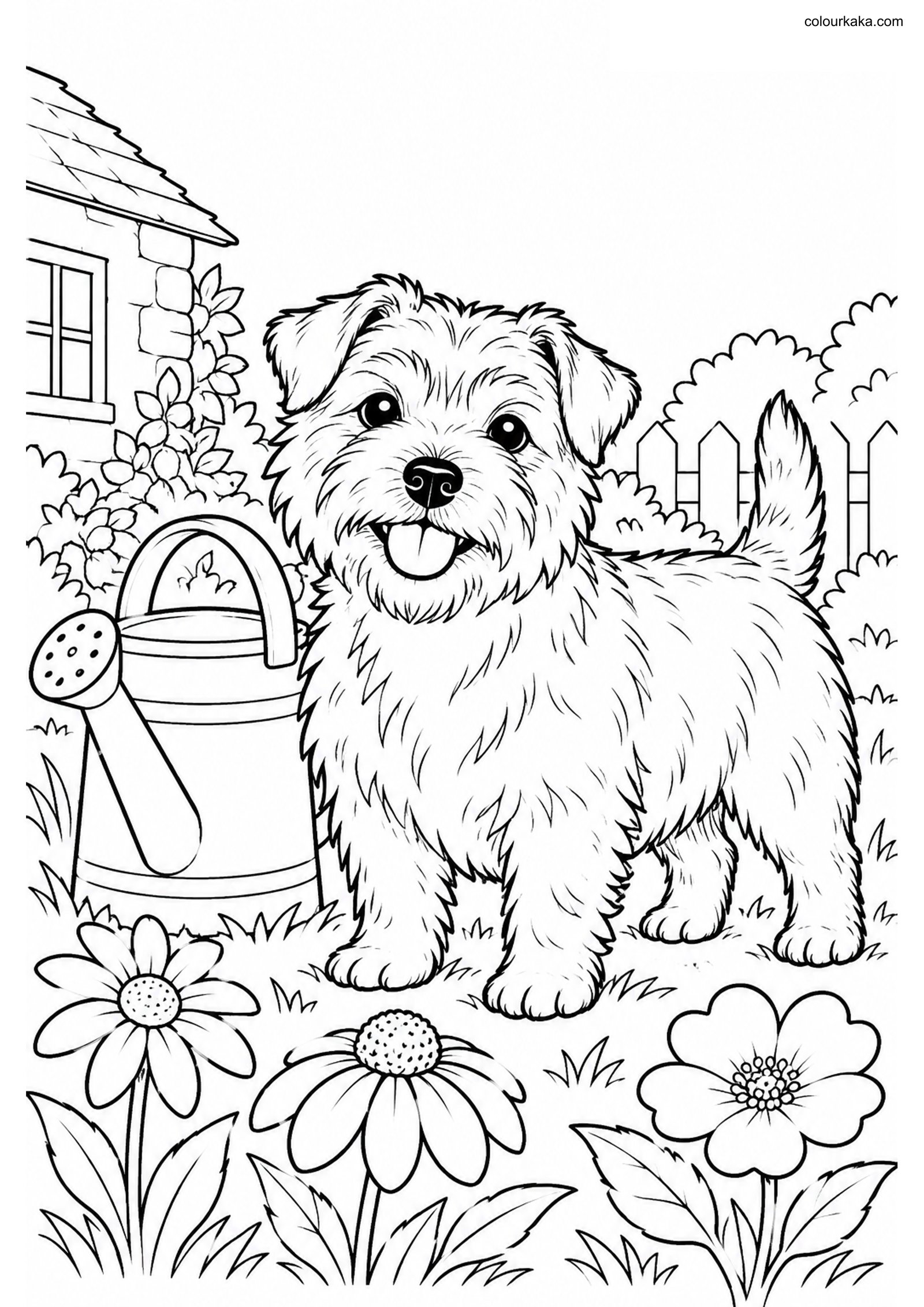 Norfolk Terrier Colouring Page colouring page preview