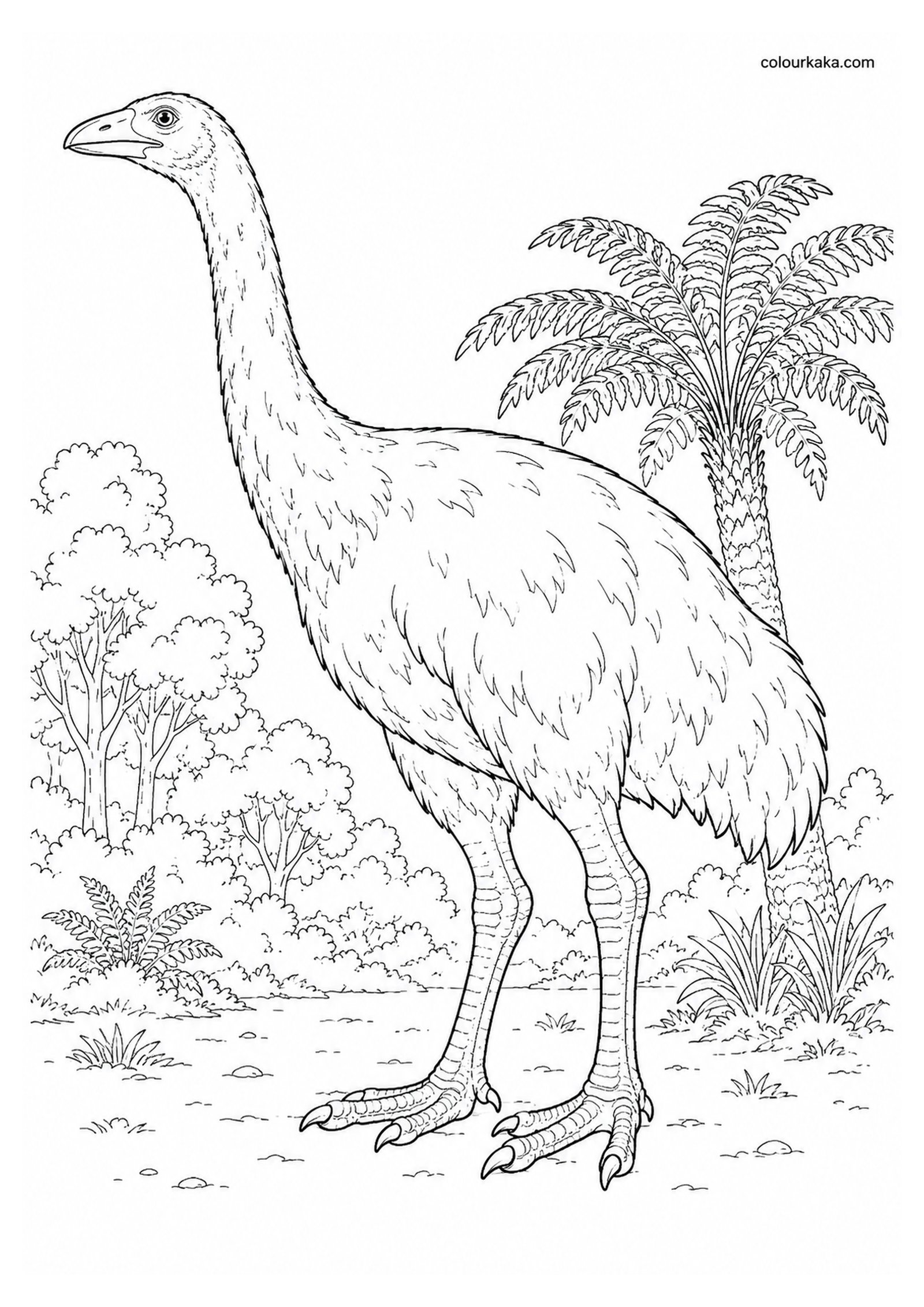 North Island Giant Moa Colouring Page colouring page preview
