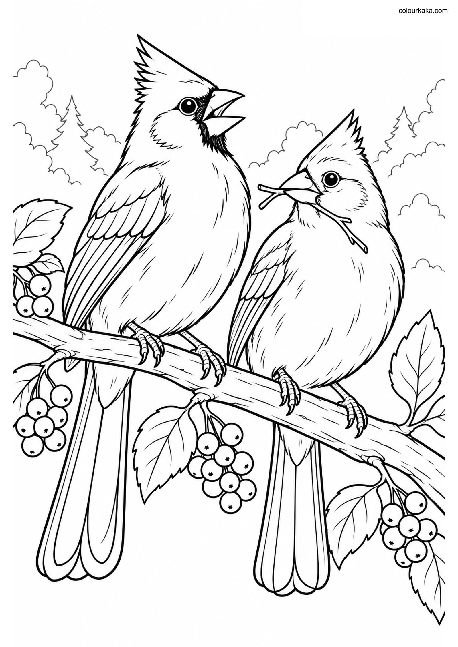 Northern Cardinal Pair Page colouring page preview