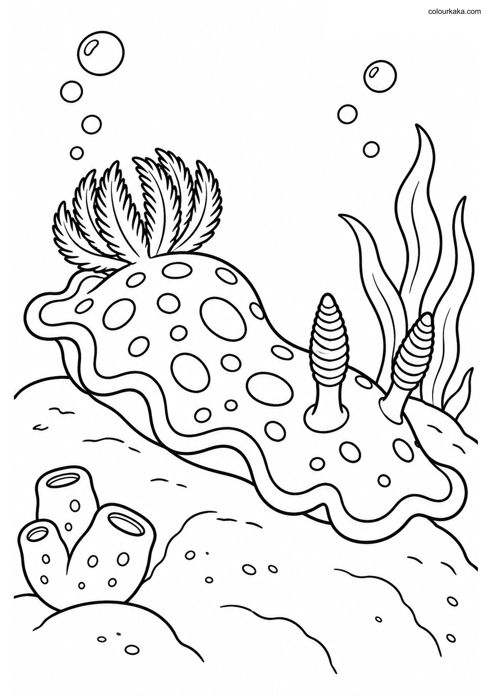 Nudibranch Ocean Colouring colouring page preview