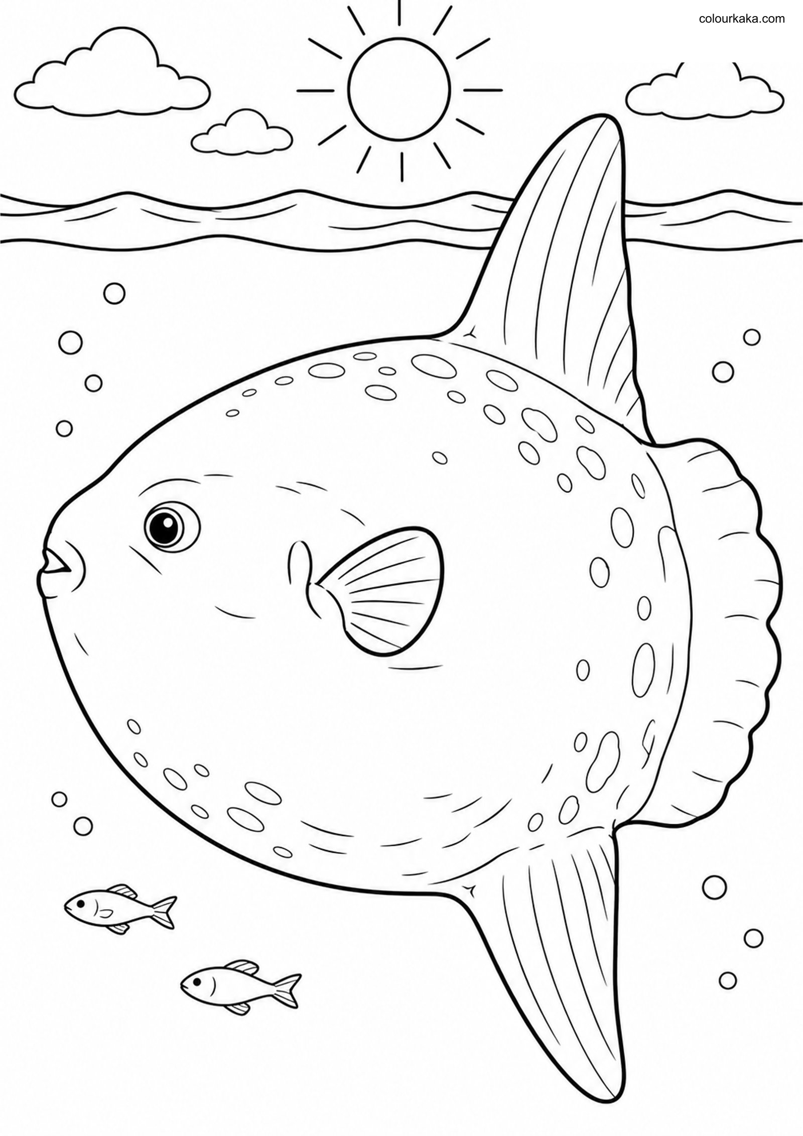 Ocean Sunfish Colouring Page colouring page preview