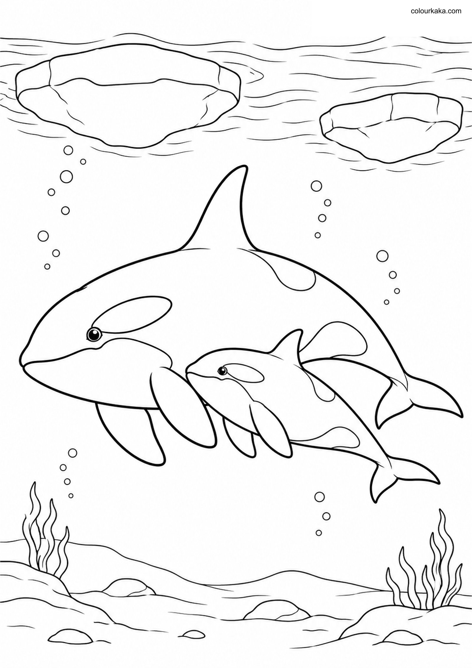 Orca Family Colouring Page colouring page preview