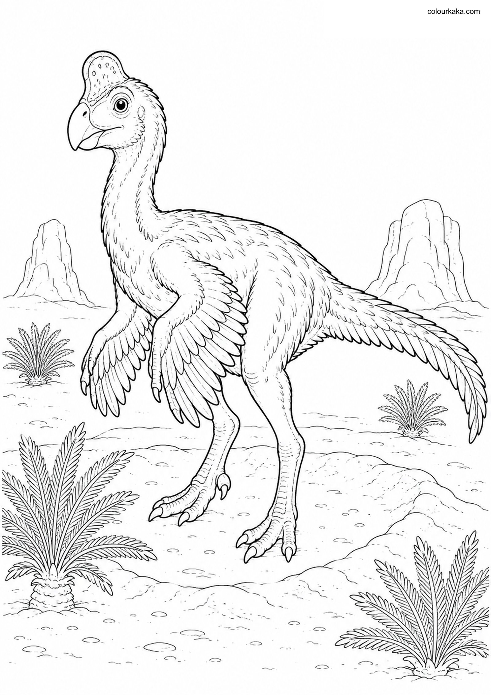Oviraptor Colouring Page colouring page preview