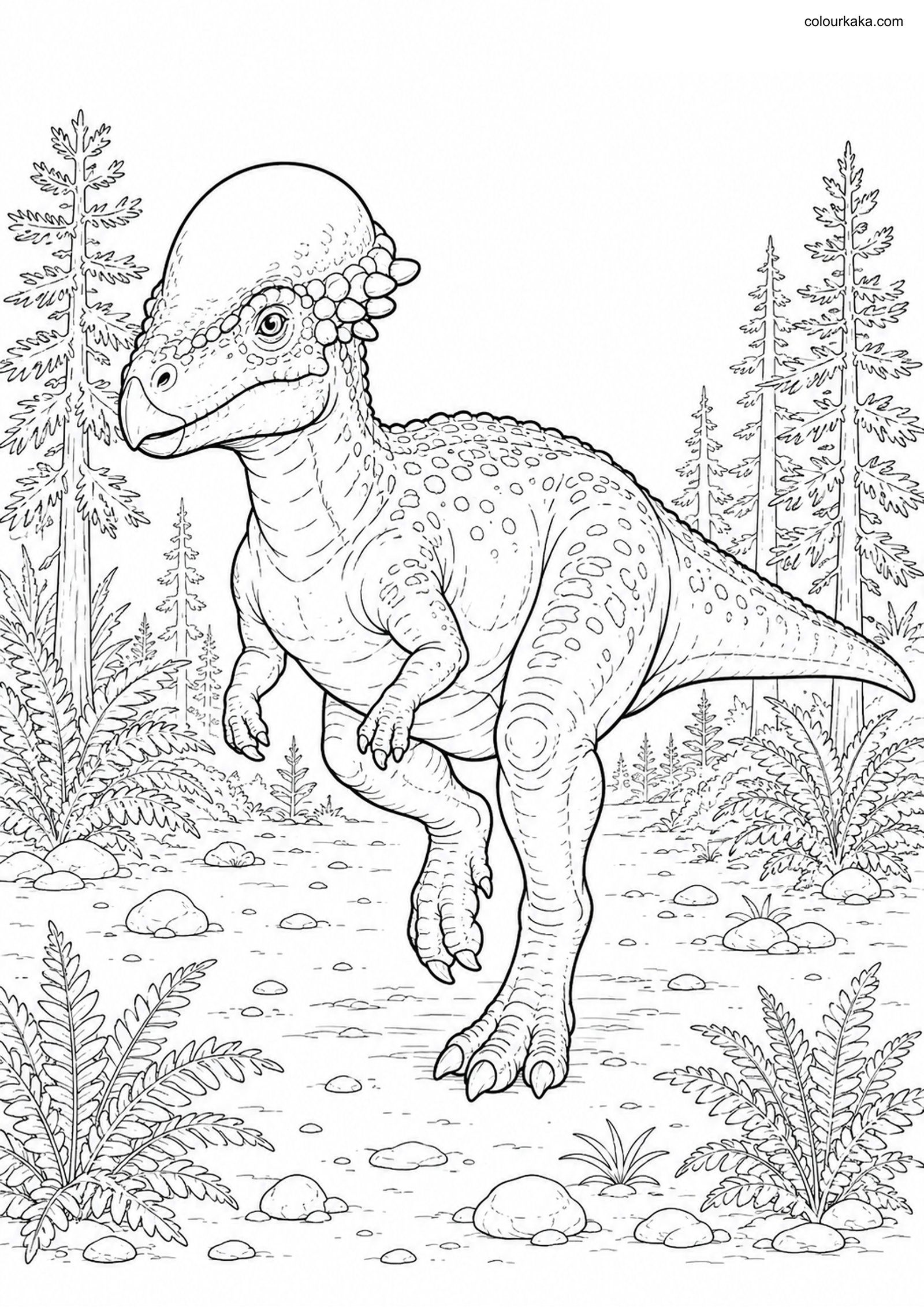 Pachycephalosaurus Colouring Page colouring page preview