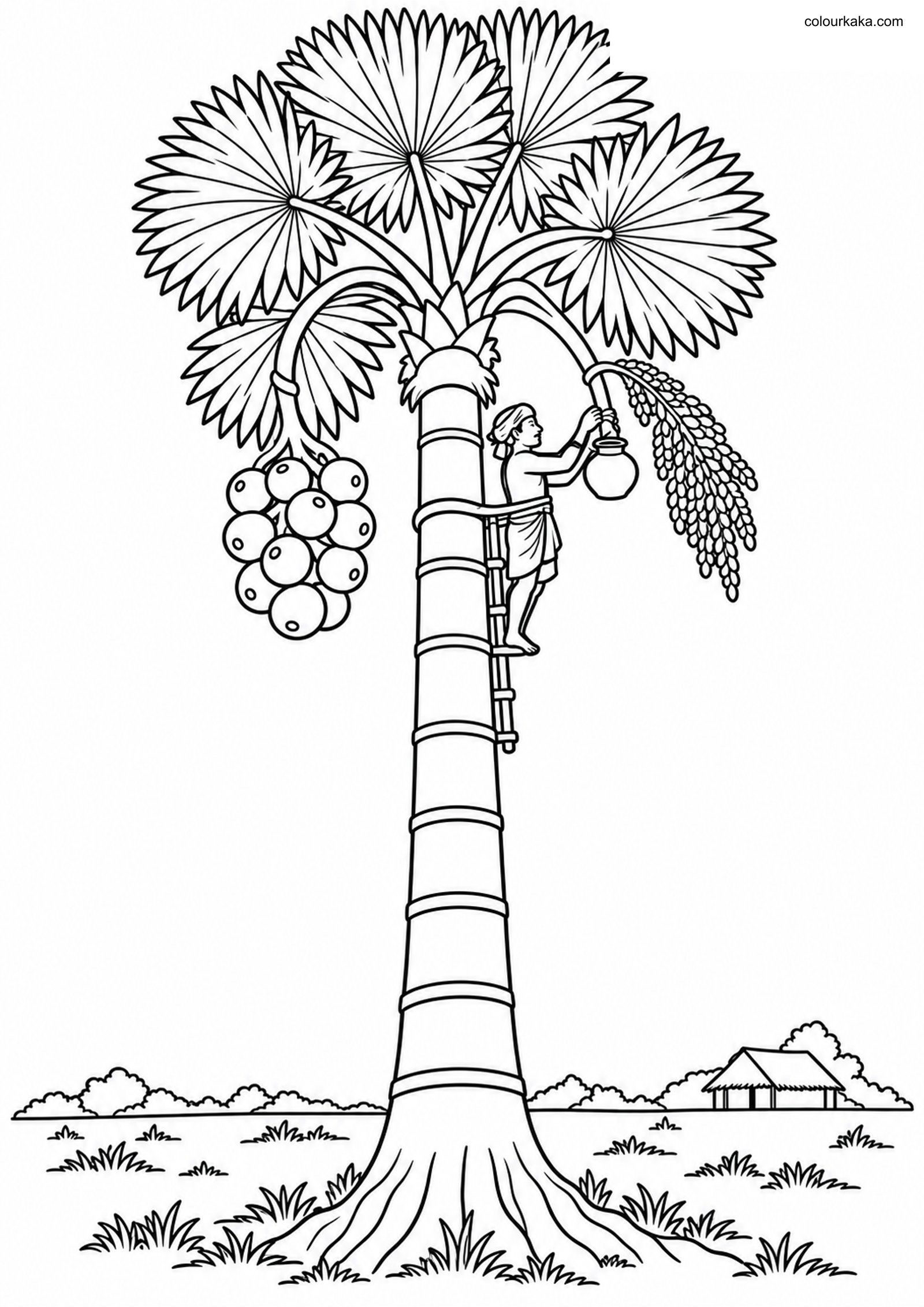 Palmyra Palm Toddy Farmer Page colouring page preview