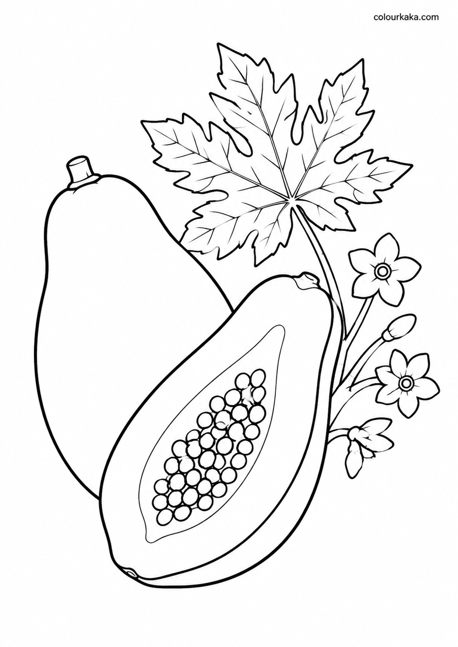 Papaya Tropical Colouring Page colouring page preview