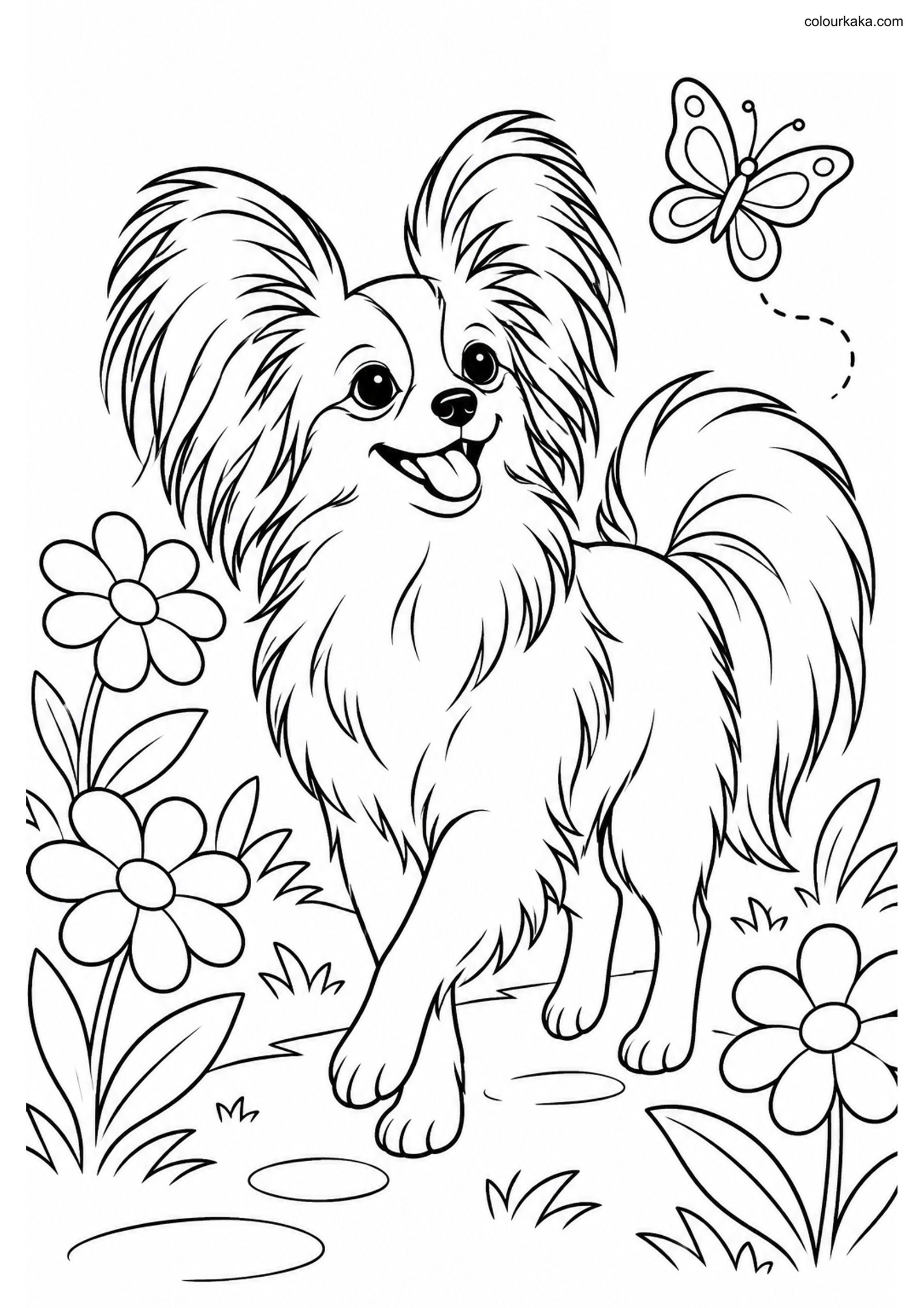 Papillon Dog Colouring Page colouring page preview