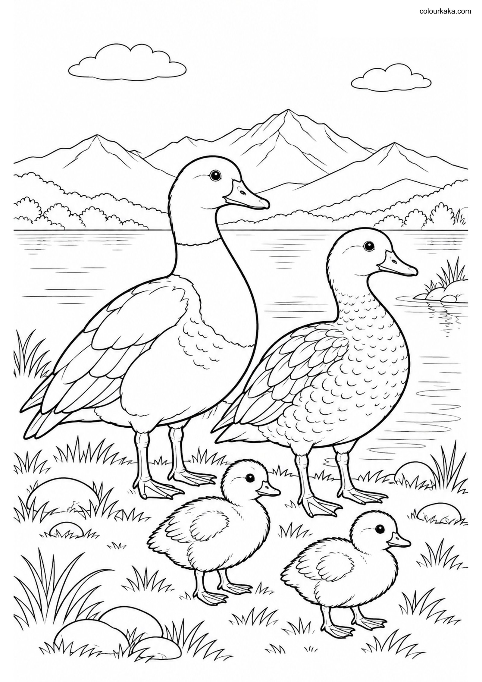 Paradise Shelduck Family Page colouring page preview