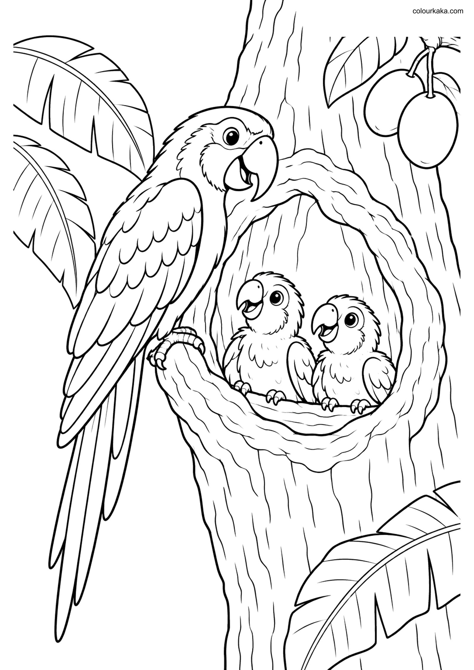 Parrot Hollow Nest Colouring Page colouring page preview
