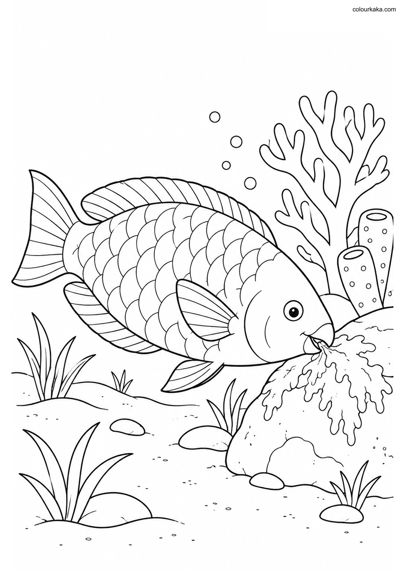 Parrotfish Reef Colouring Page colouring page preview