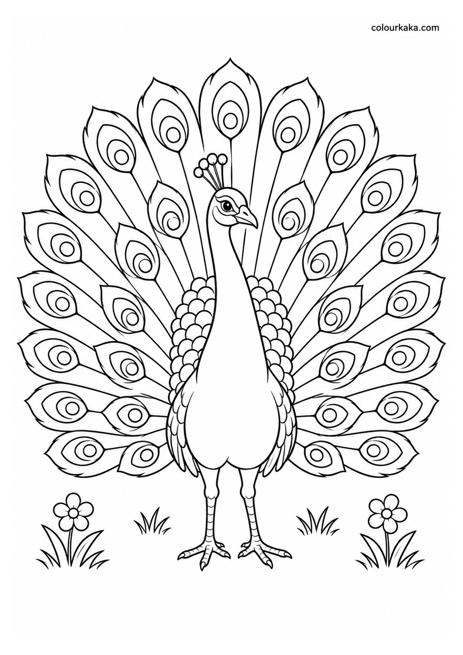Peacock Spreading Its Beautiful Feathers Colouring Page colouring page preview
