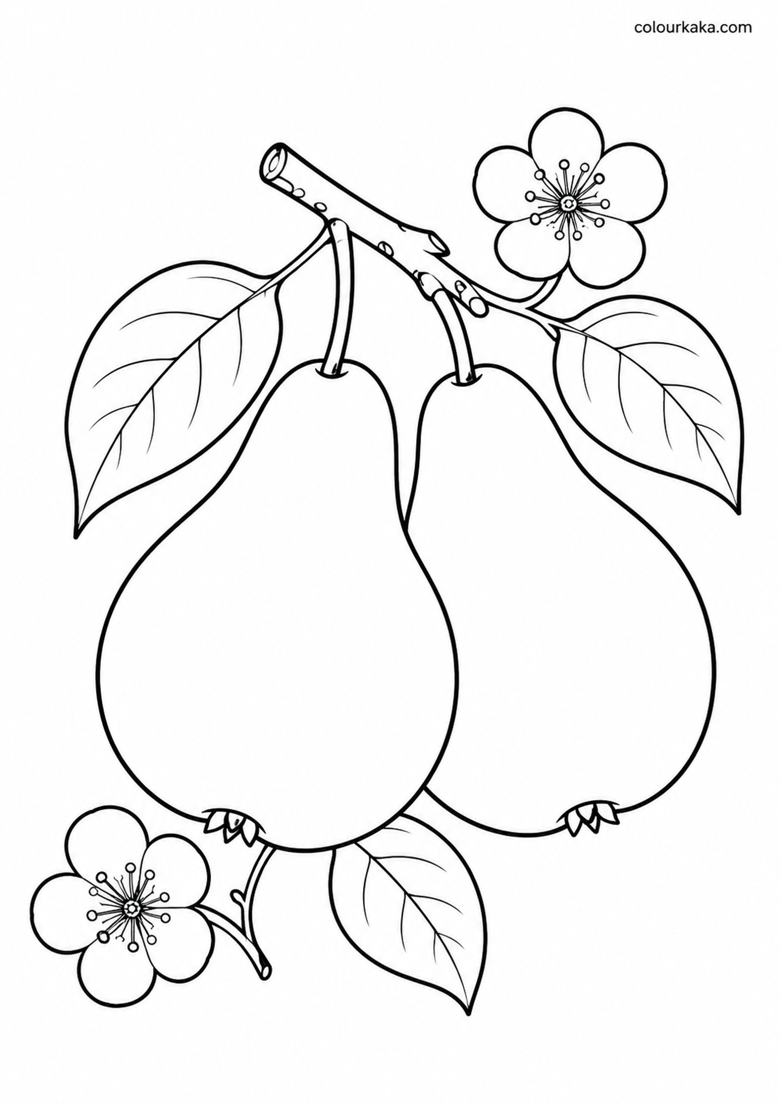 Pear Harvest Colouring Page colouring page preview
