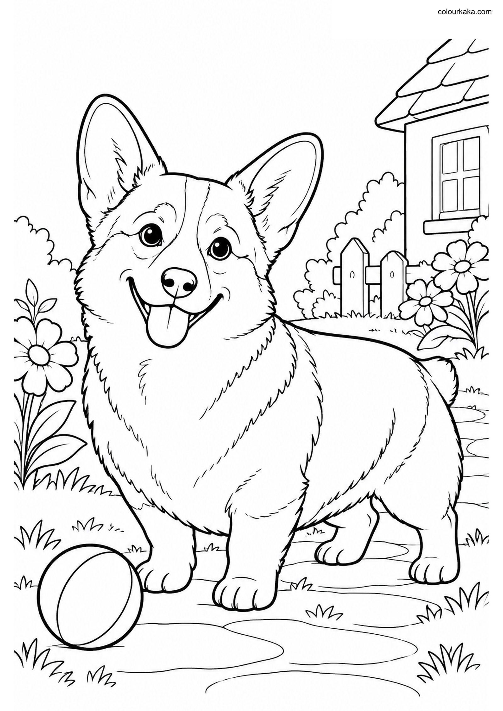 Pembroke Welsh Corgi Coloring colouring page preview