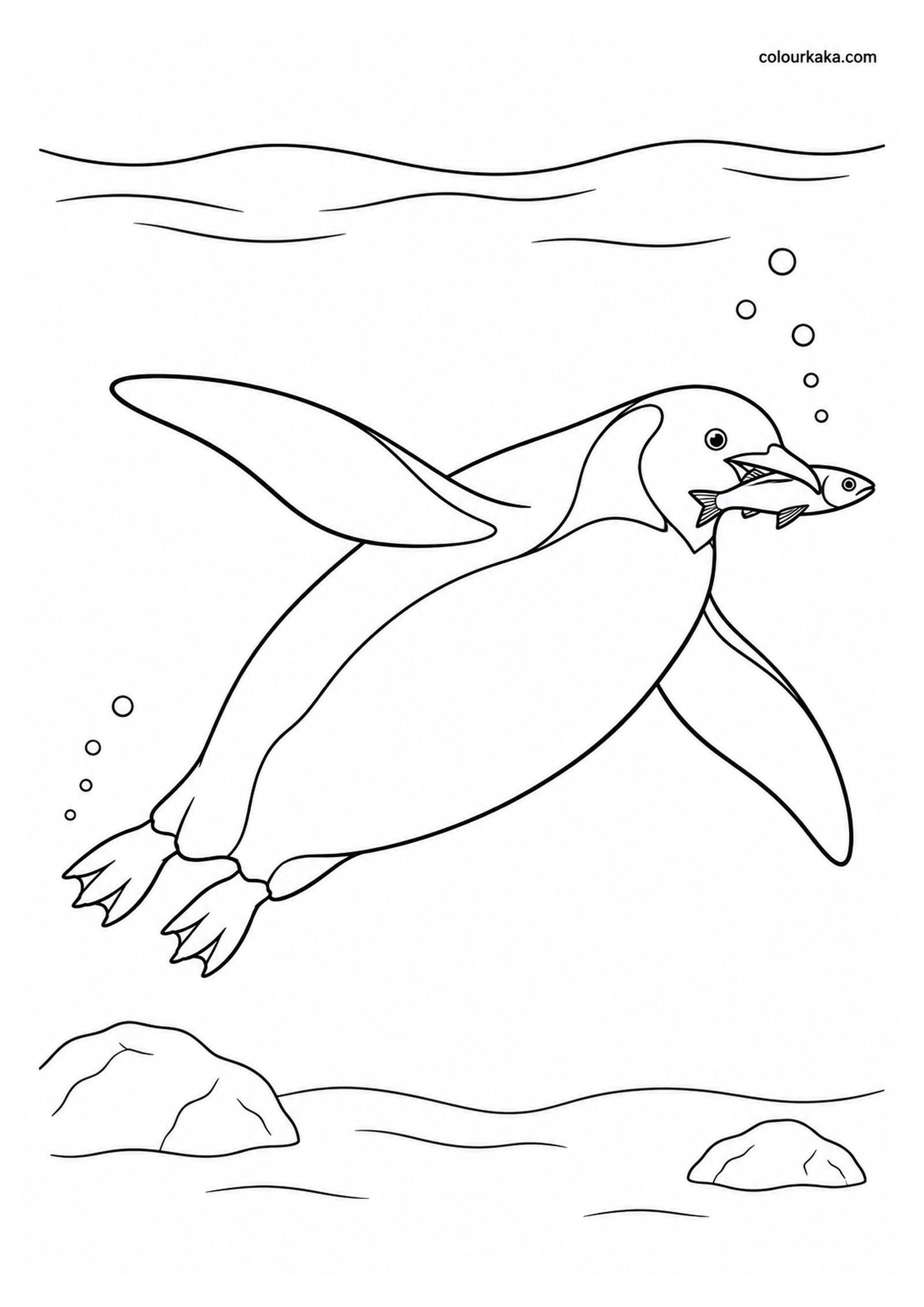 Penguin Catching Fish Colouring Page colouring page preview