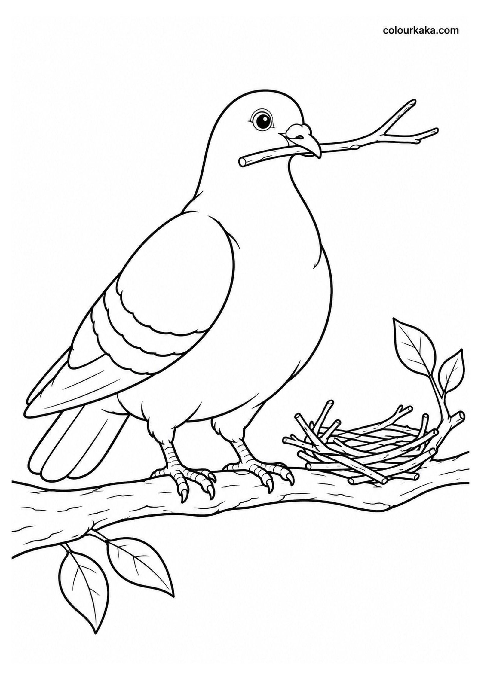 Pigeon Carrying a Twig for Nest Building Colouring Page colouring page preview