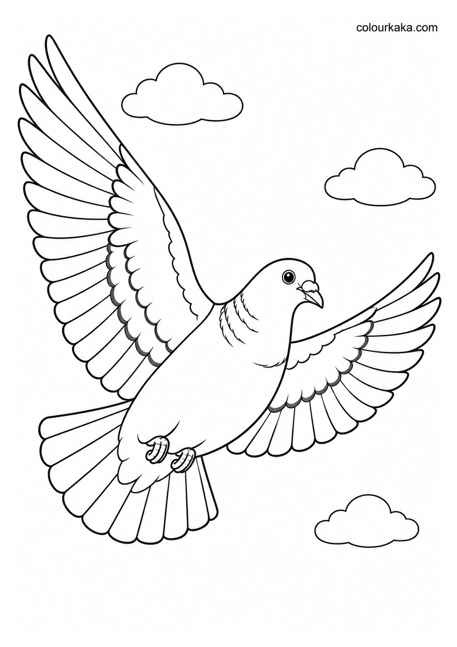 Pigeon Flying with Wings Spread Wide Colouring Page colouring page preview