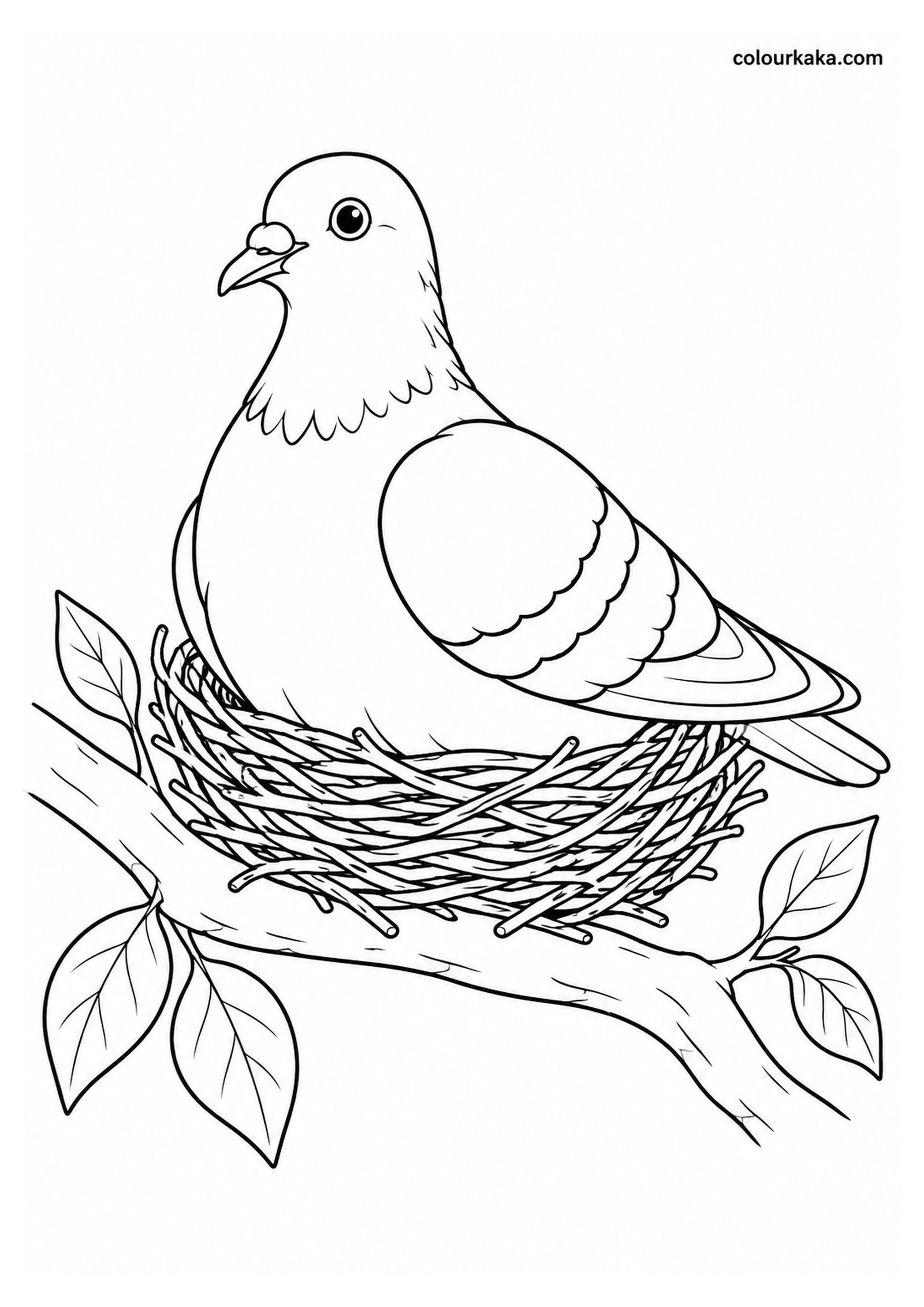 Pigeon Sitting in Its Nest Colouring Page colouring page preview
