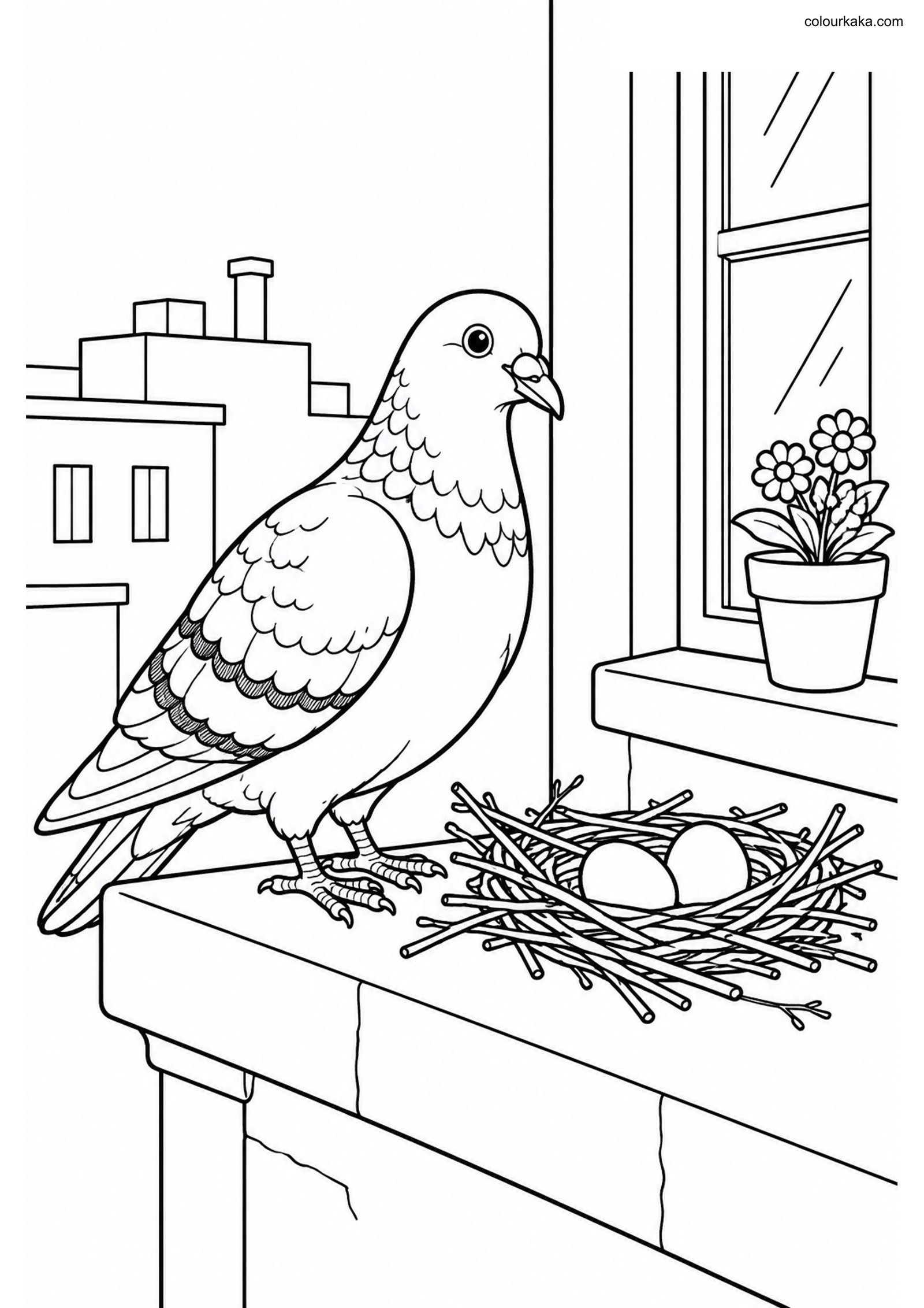 Pigeon Twig Nest Colouring Page colouring page preview