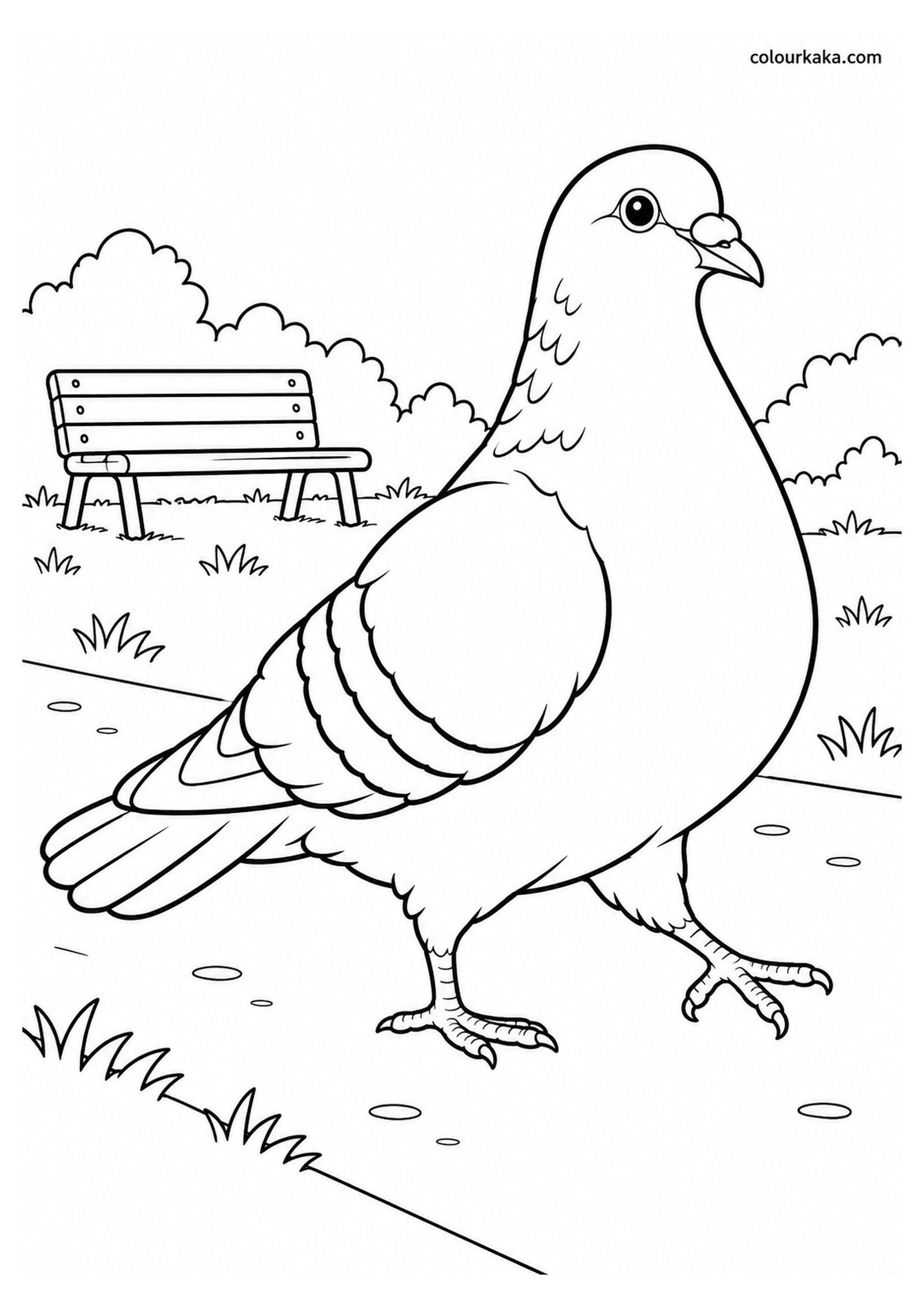 Pigeon Walking in a Park Colouring Page colouring page preview