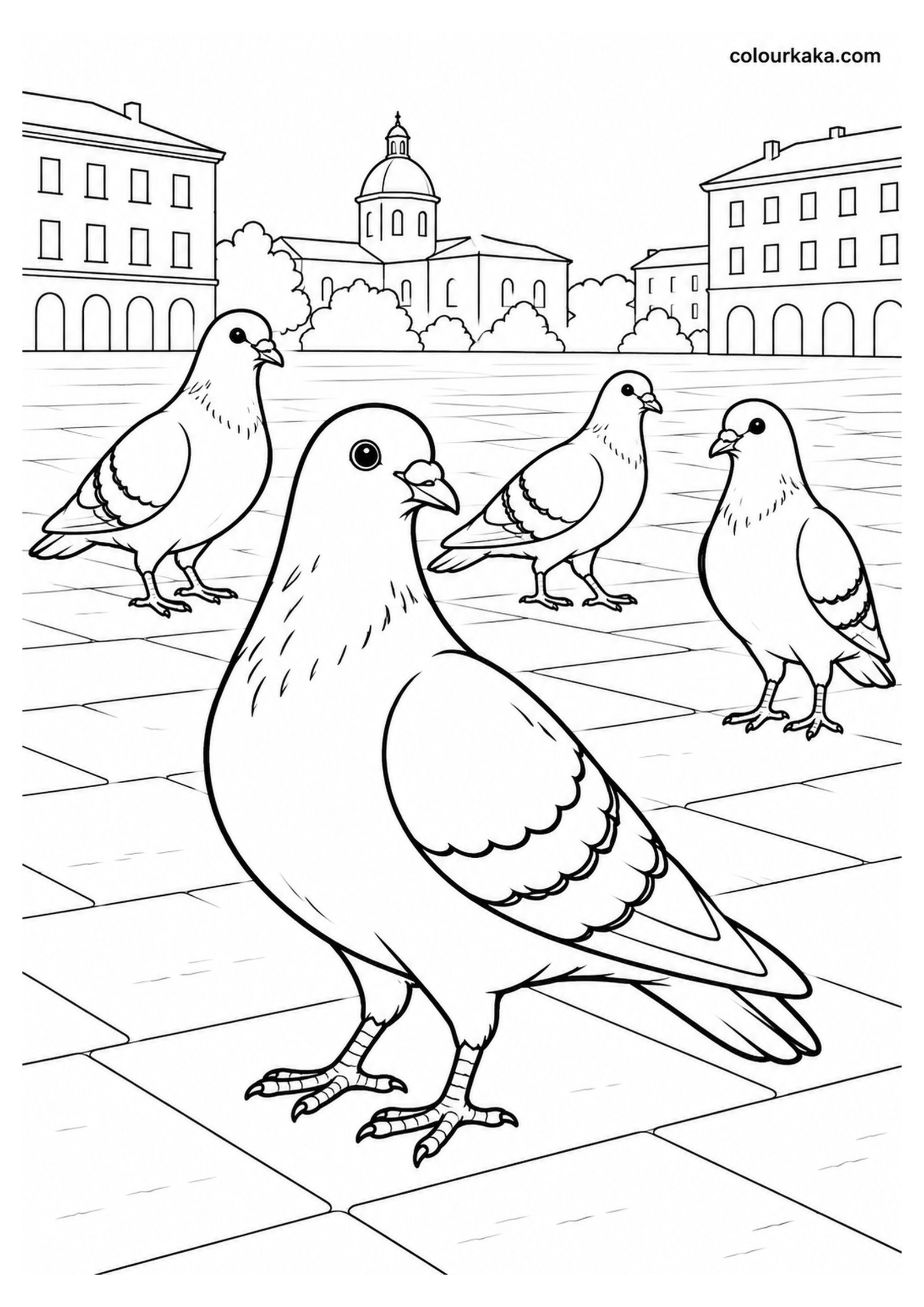 Pigeon with Other Pigeons in a City Square Colouring Page colouring page preview