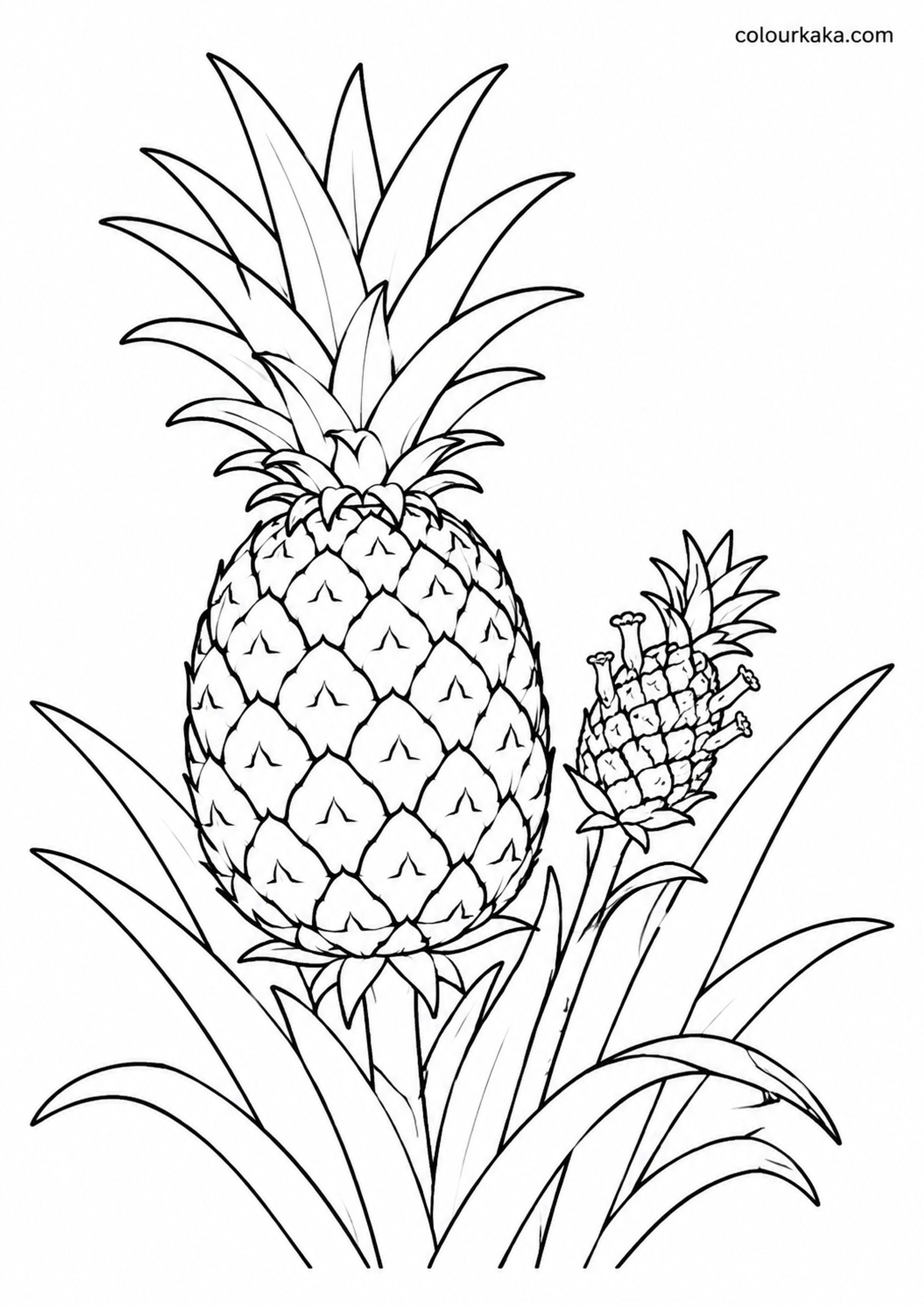 Pineapple Tropical Colouring colouring page preview