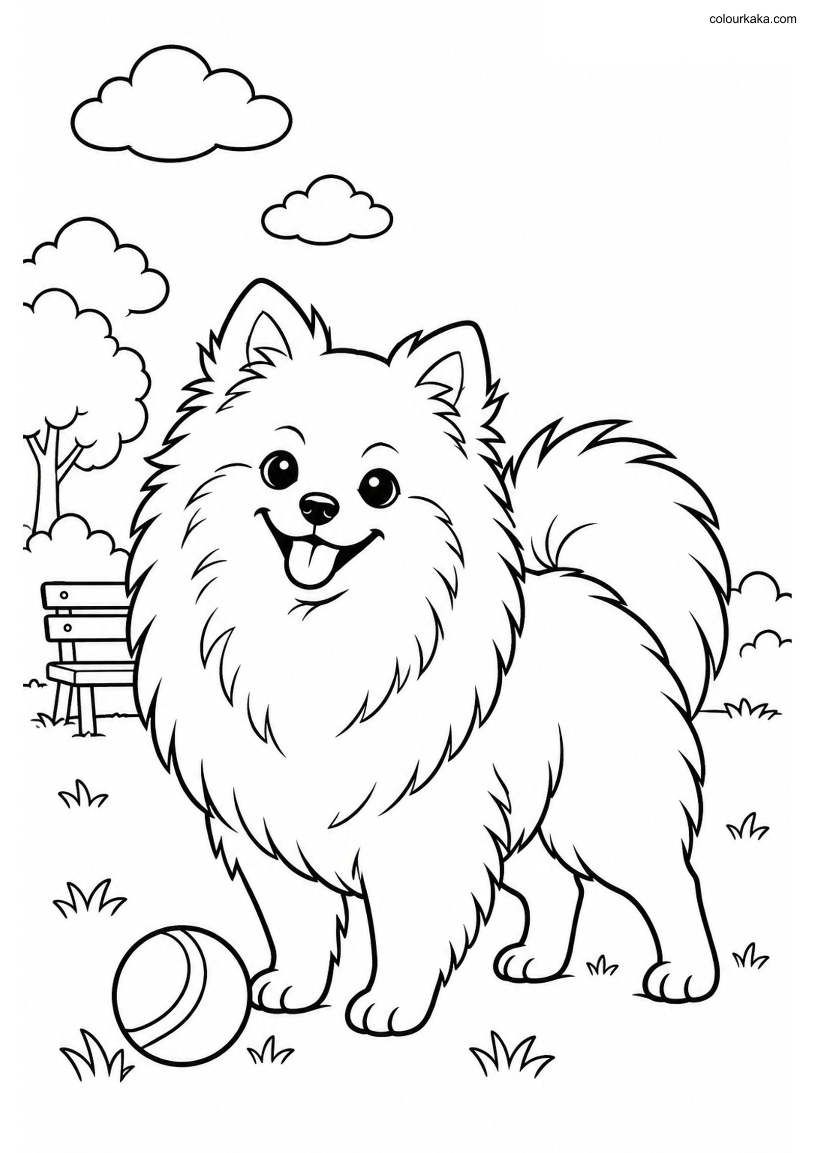 Pomeranian Kids Colouring Page colouring page preview