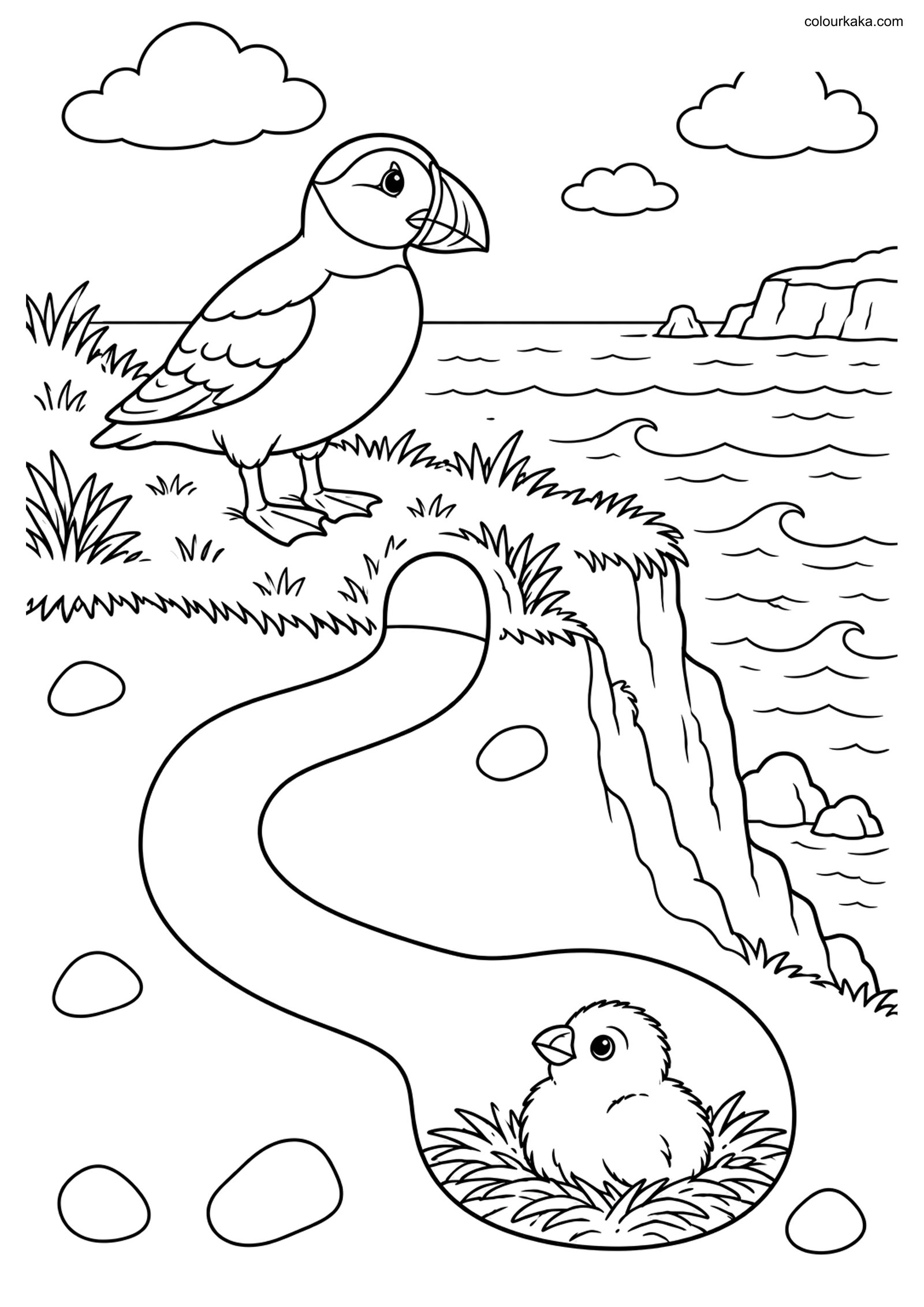 Puffin Burrow Nest Colouring colouring page preview