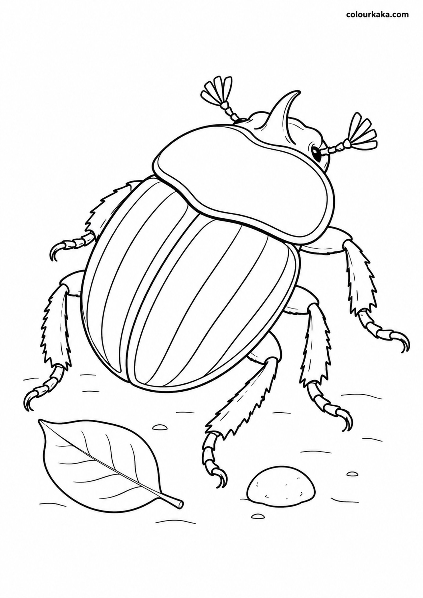 Rainbow Scarab Beetle Colouring colouring page preview