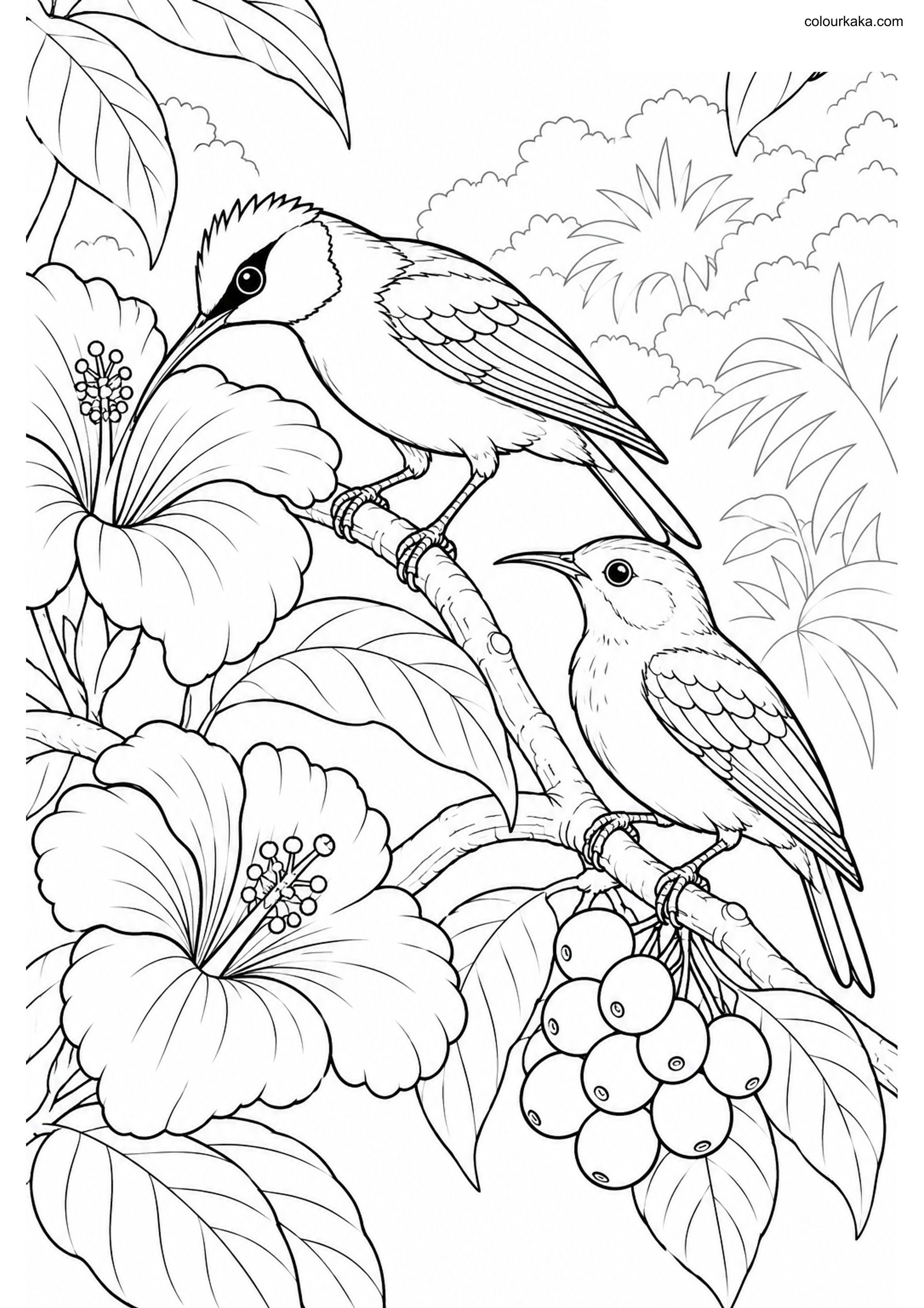 Red-legged Honeycreeper Page colouring page preview