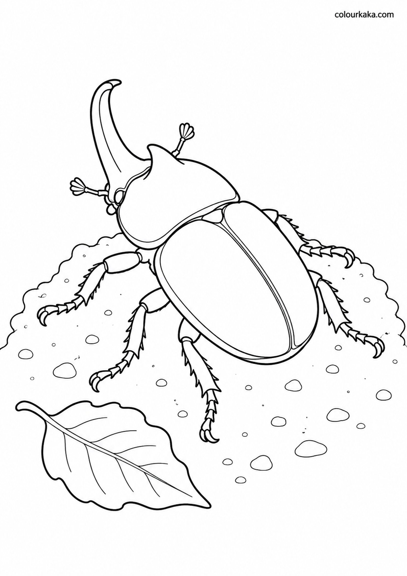 Rhinoceros Beetle Colouring colouring page preview