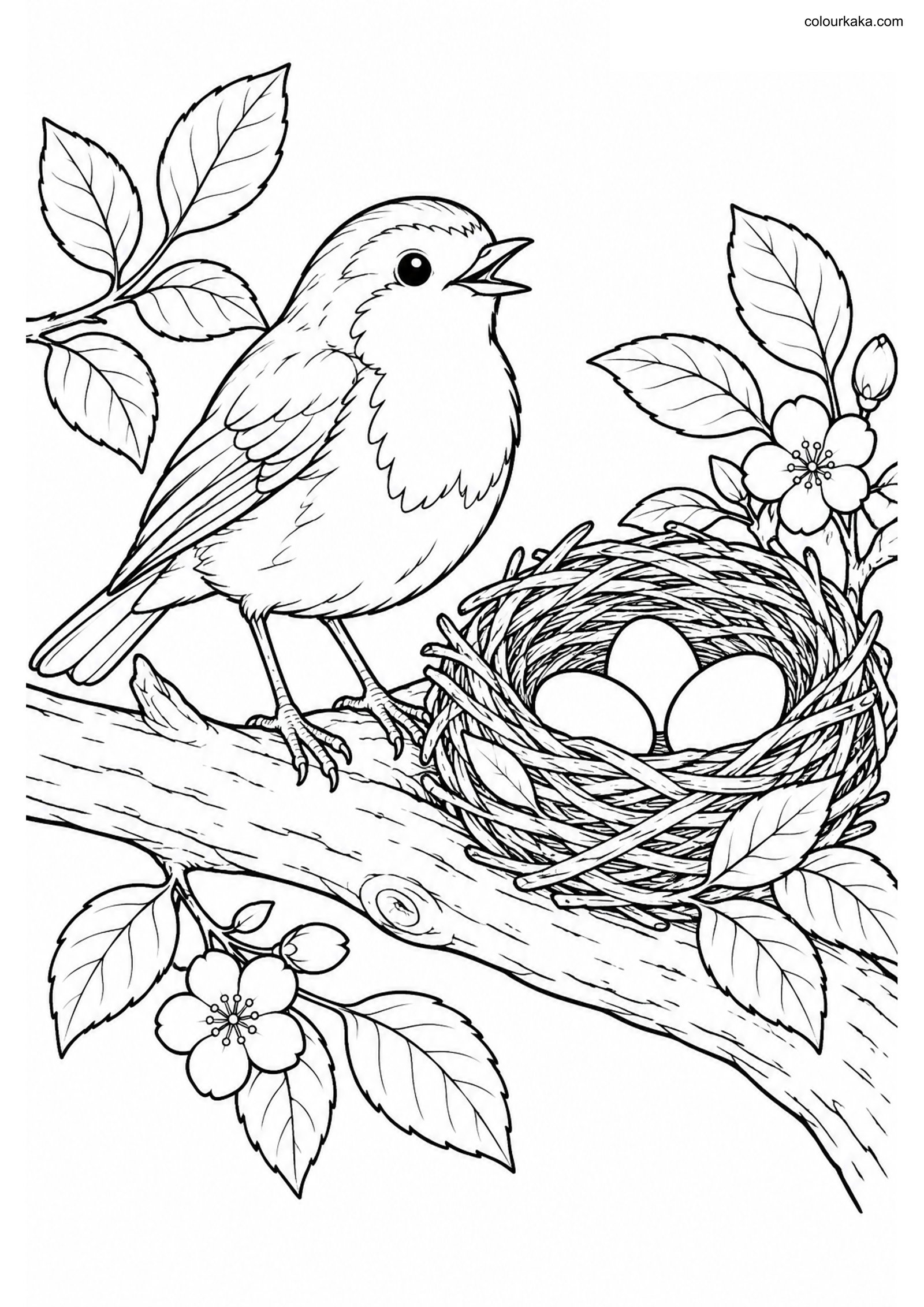 Robin Cup Nest Colouring Page colouring page preview