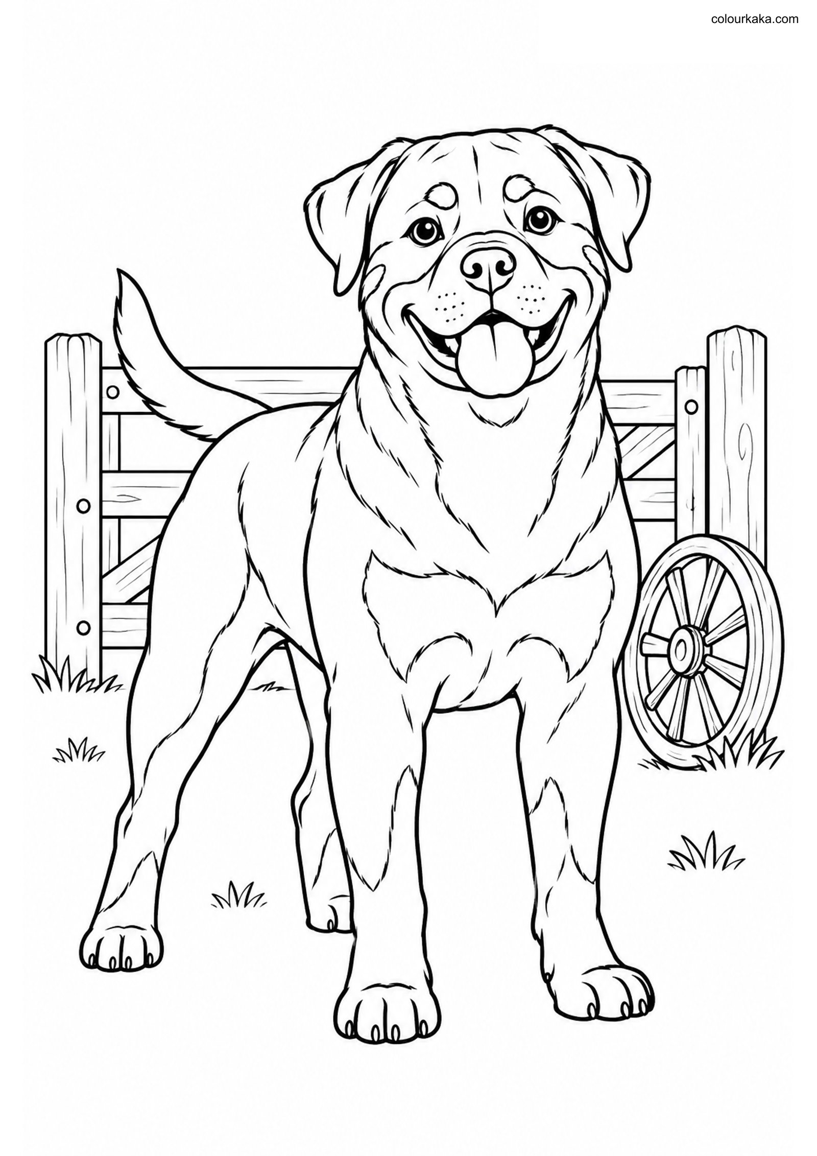 Rottweiler Dog Colouring Page colouring page preview