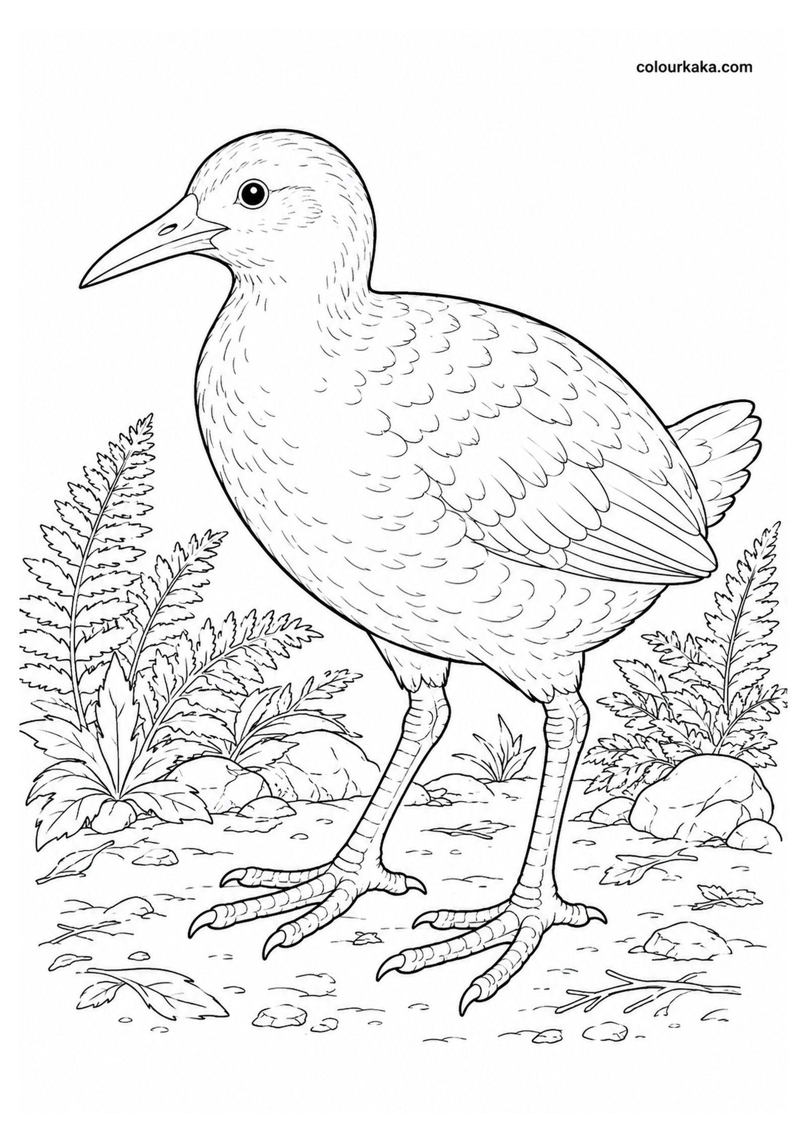 Saint Helena Rail Colouring Page colouring page preview