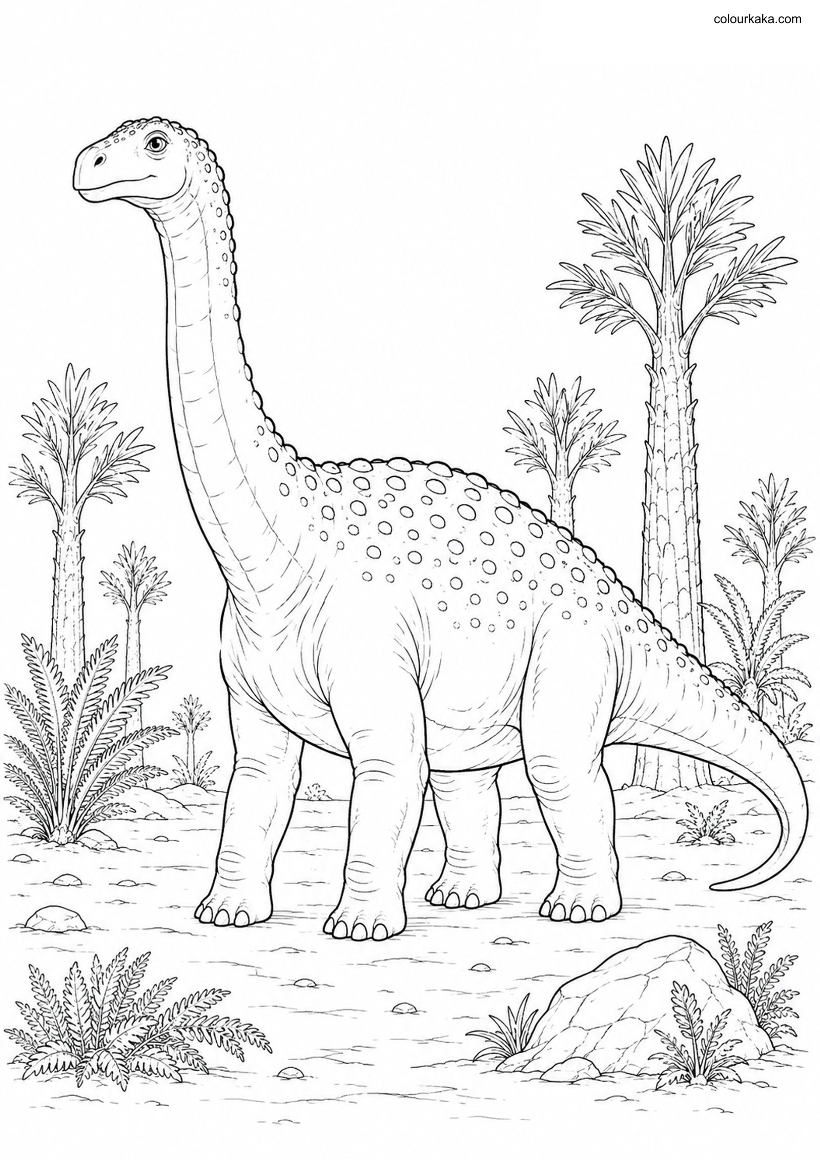 Saltasaurus Colouring Page colouring page preview