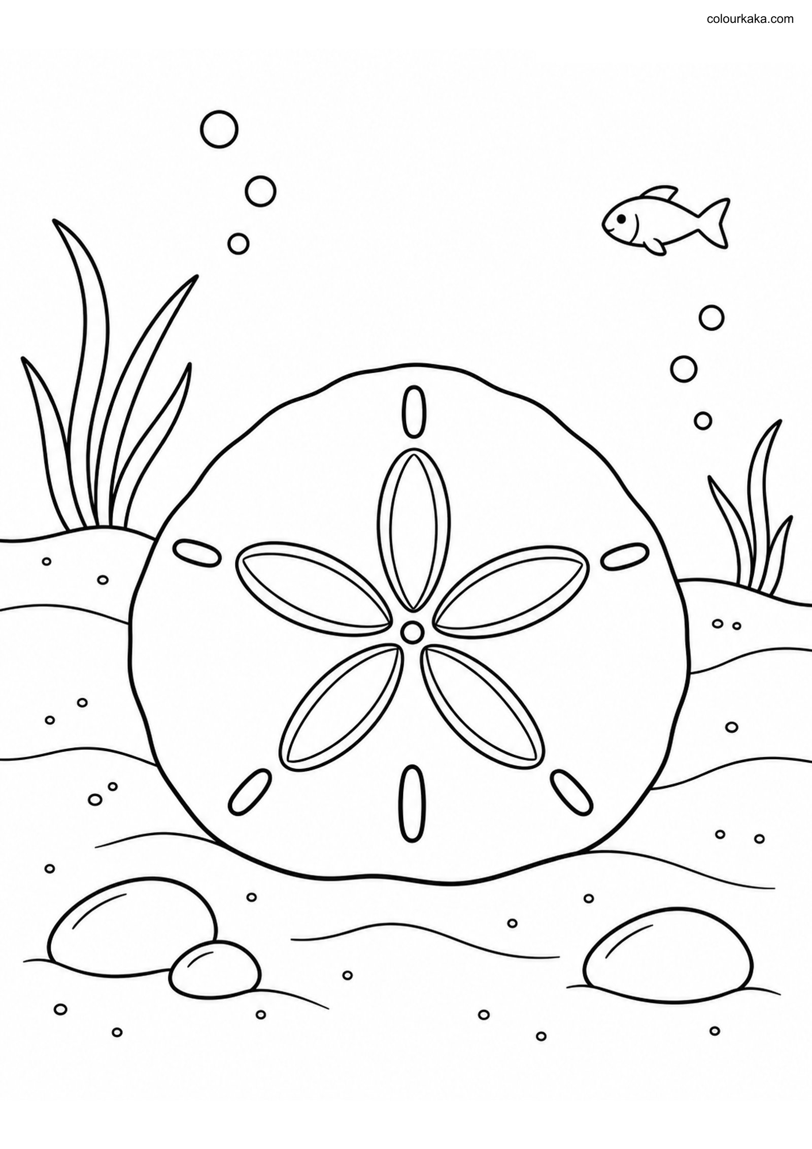 Sand Dollar Ocean Colouring colouring page preview