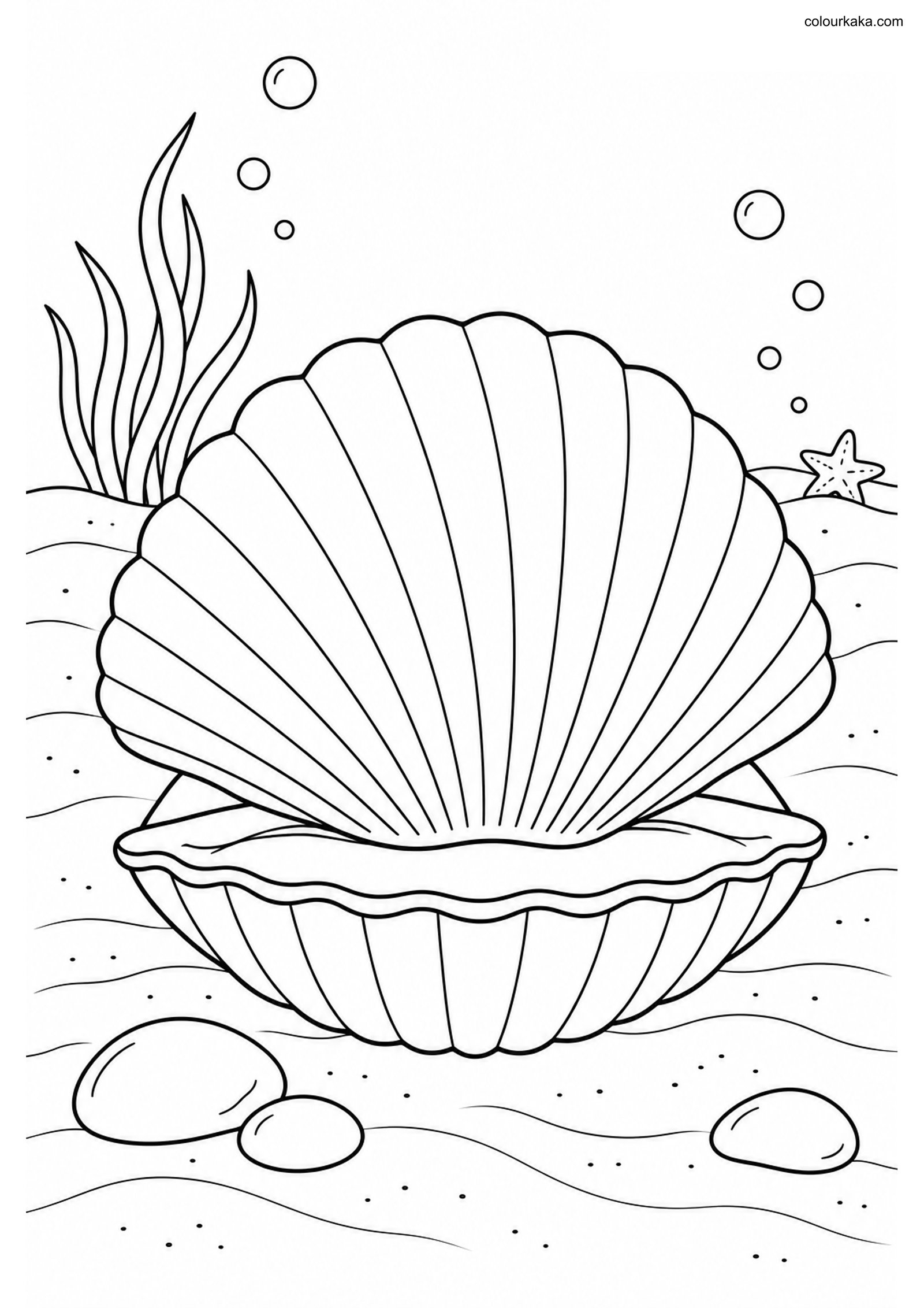 Scallop Shell Colouring Page colouring page preview