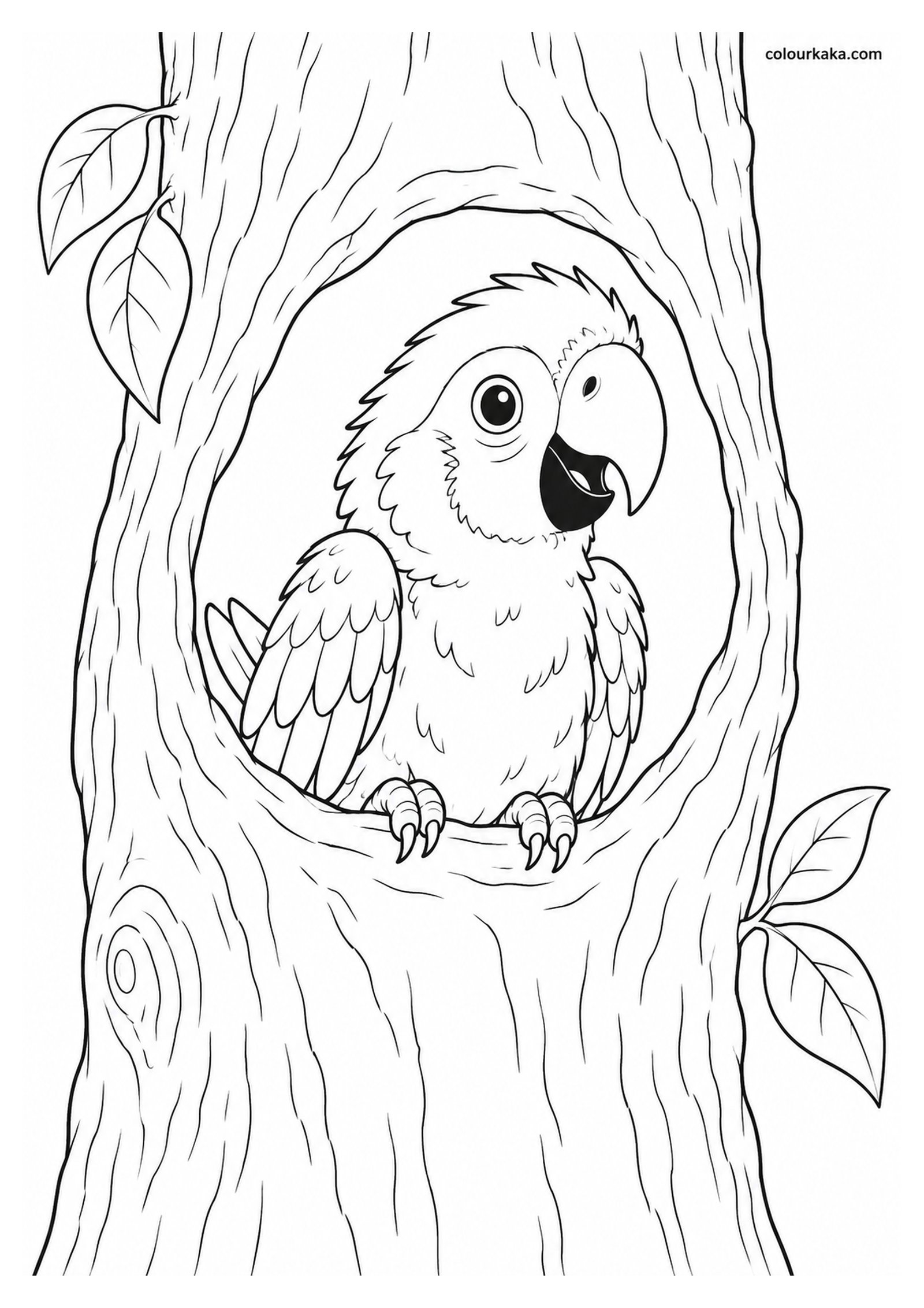 Scarlet Macaw Chick Peeking from a Tree-Hole Nest Colouring Page colouring page preview
