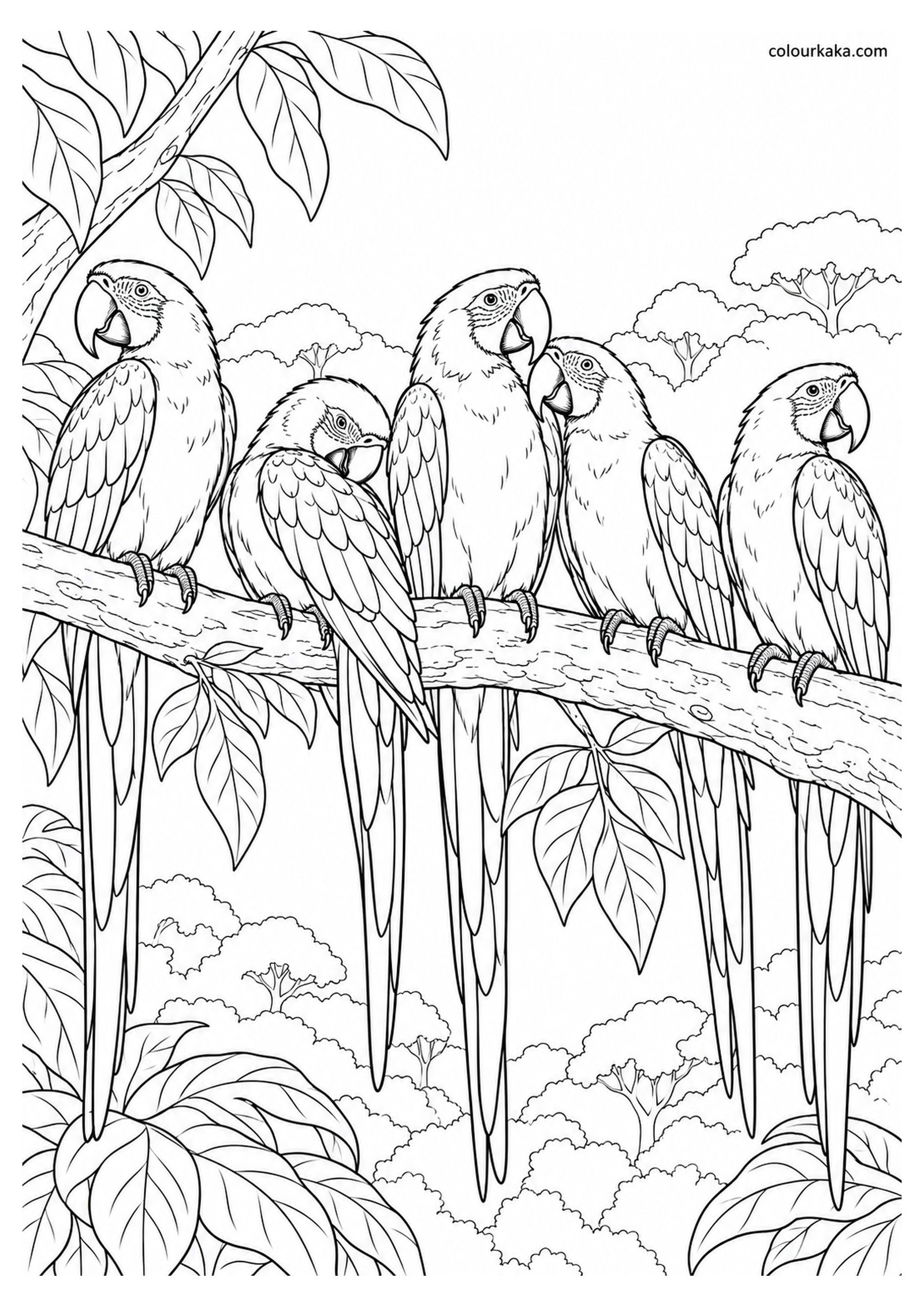 Scarlet Macaw Flock Resting in the Rainforest Canopy Colouring Page colouring page preview