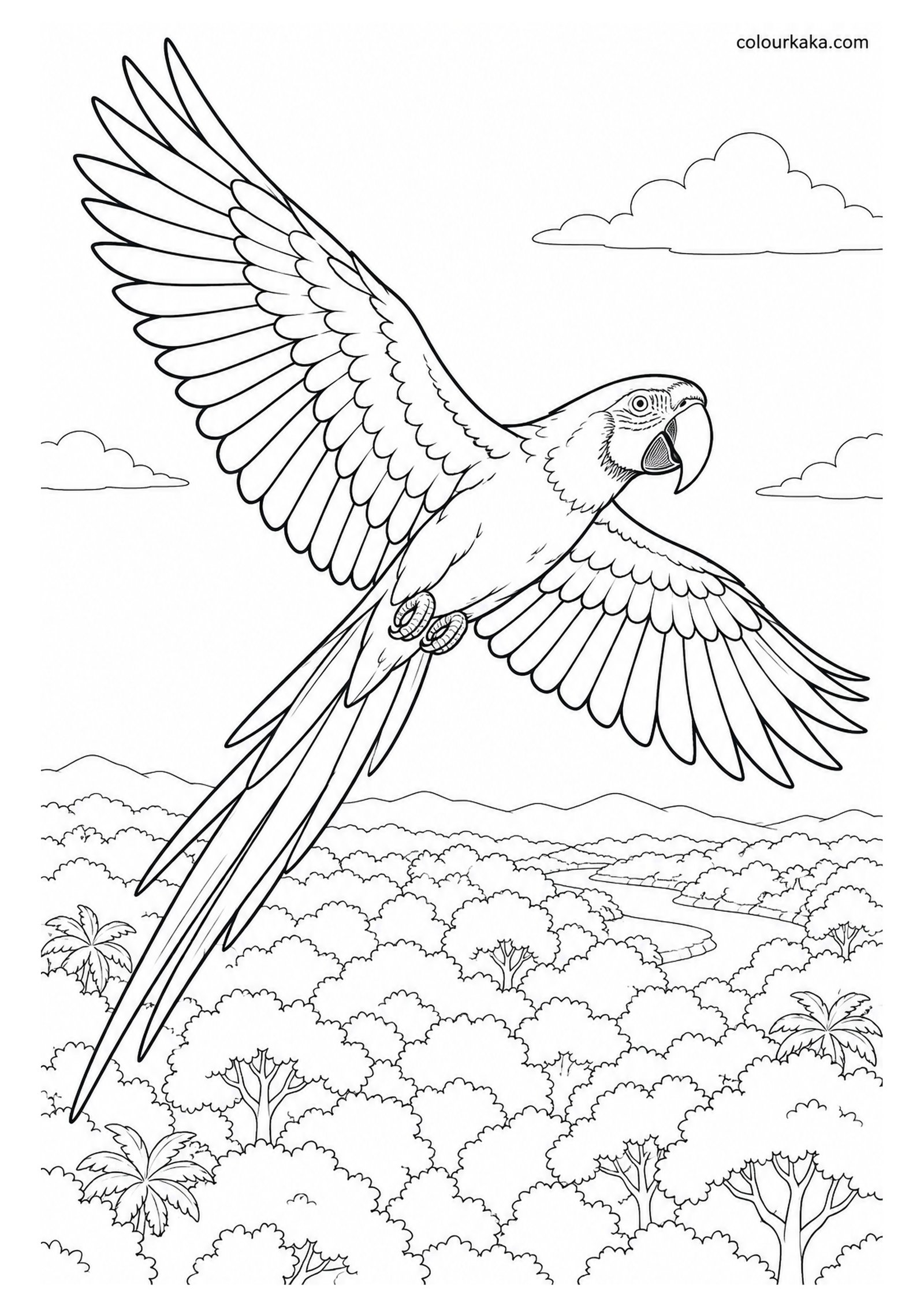 Scarlet Macaw Flying Over the Rainforest Colouring Page colouring page preview