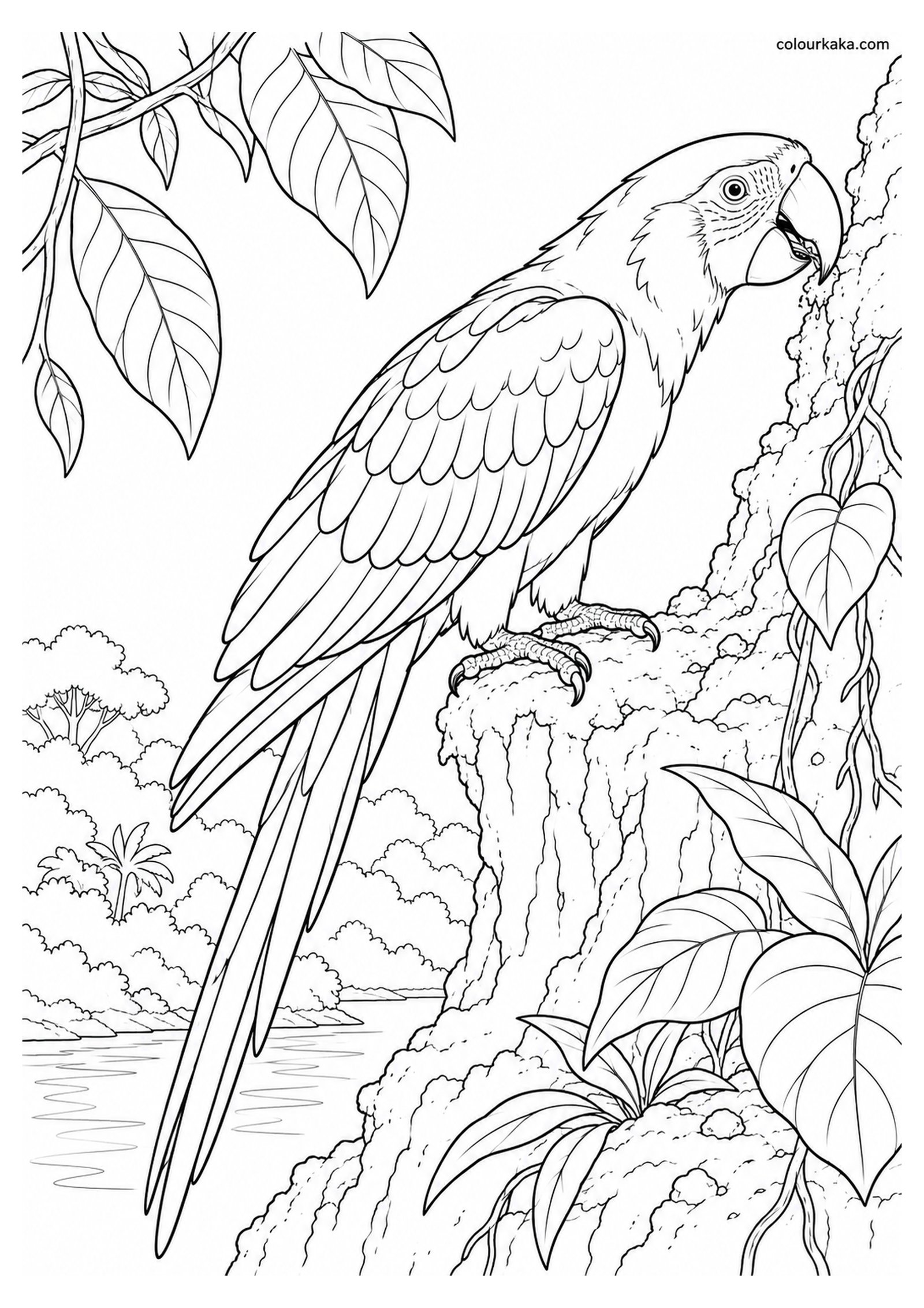 Scarlet Macaw Visiting a Clay Lick Colouring Page colouring page preview