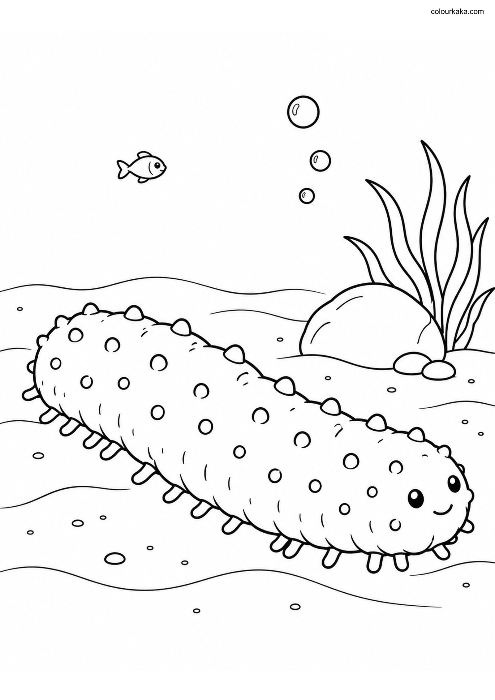 Sea Cucumber Colouring Page colouring page preview