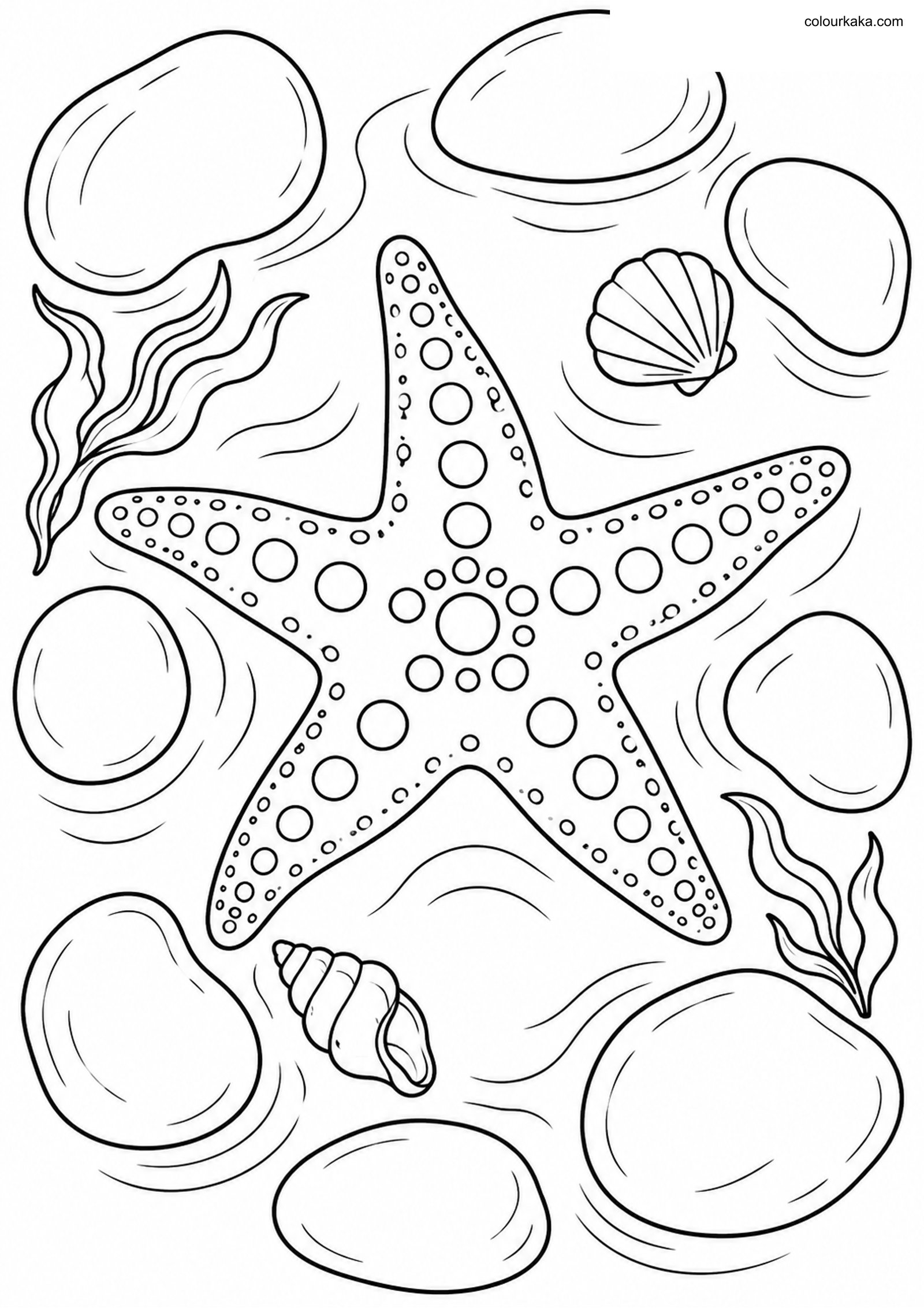 Sea Star Tide Pool Colouring colouring page preview