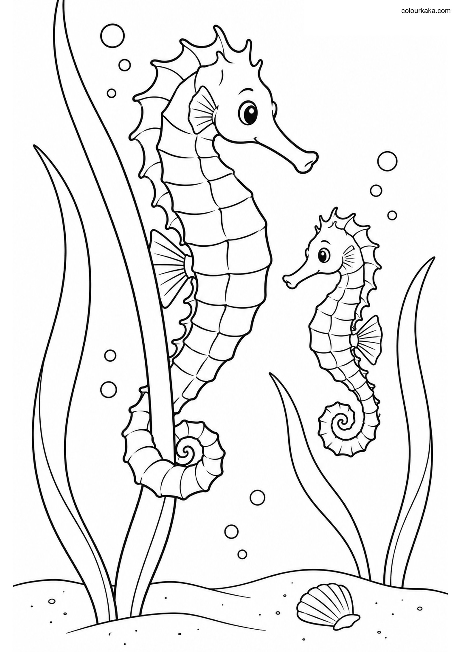Seahorse Pair Colouring Page colouring page preview