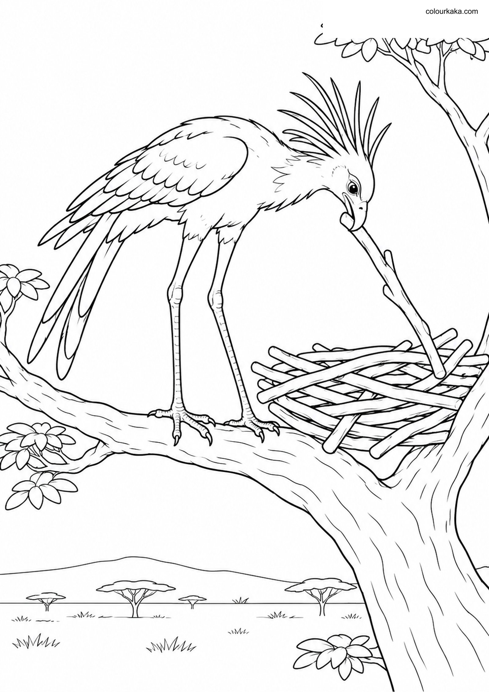 Secretary Bird Nest Building colouring page preview