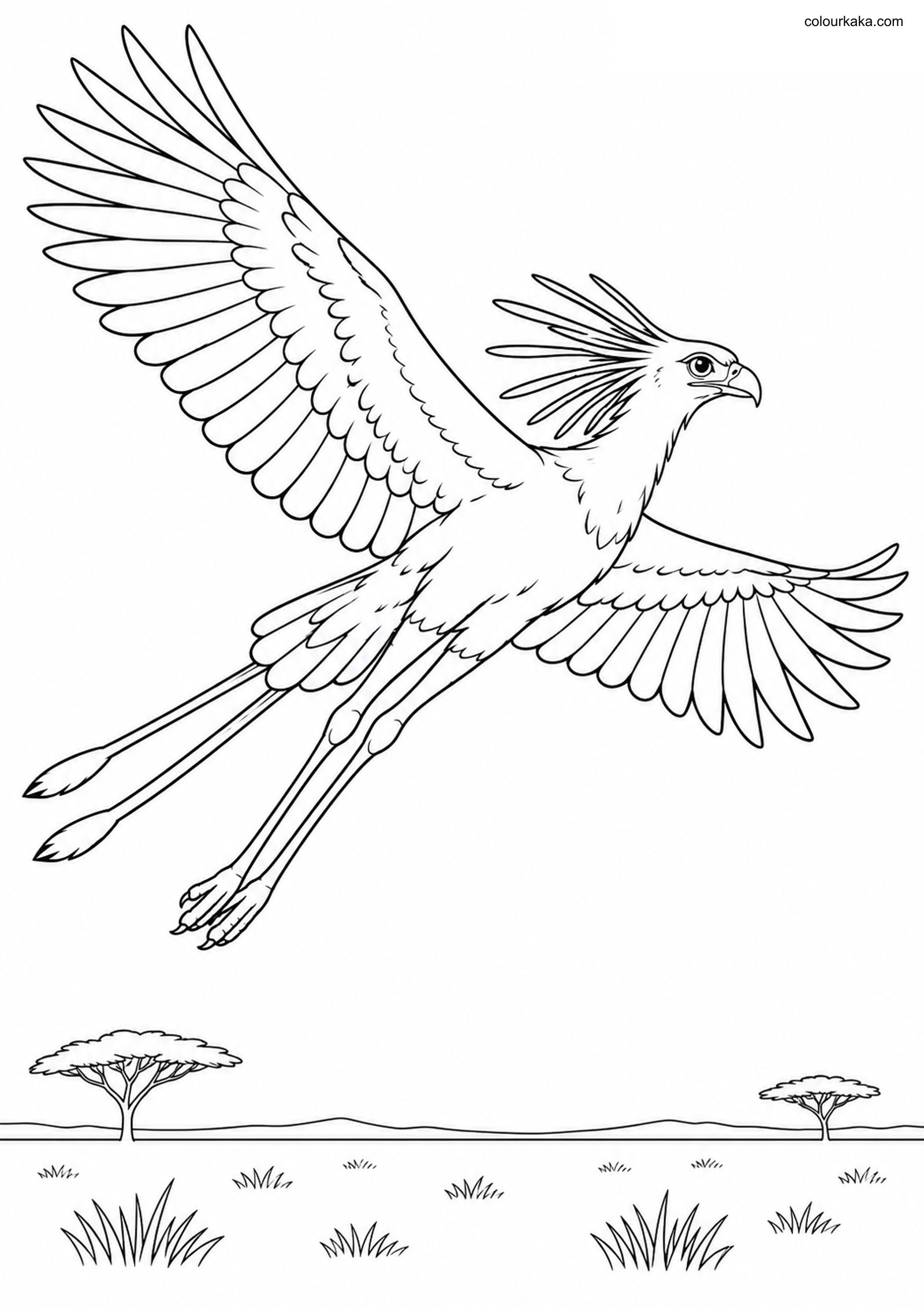 Flying Secretary Bird Page colouring page preview