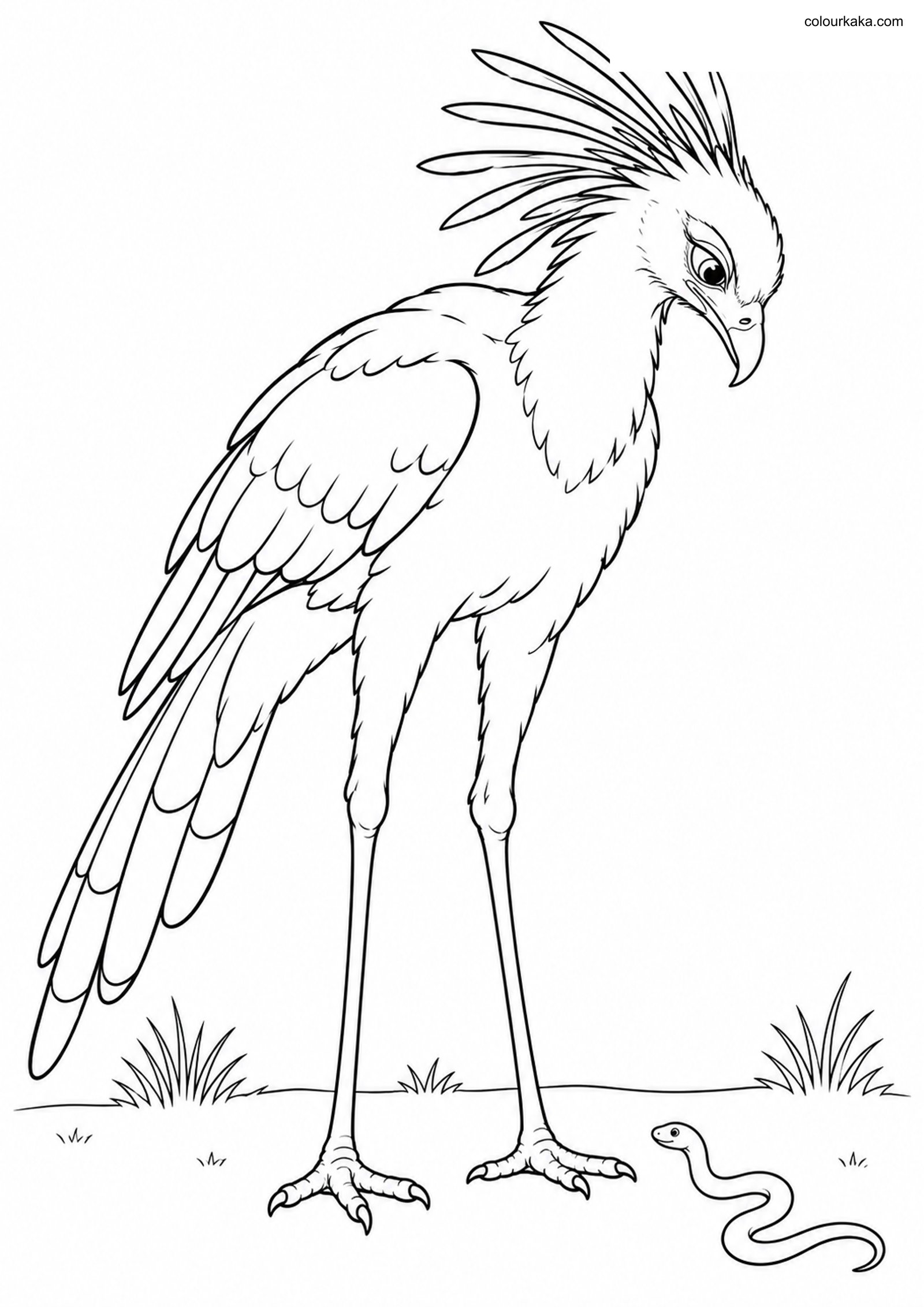 Secretary Bird Snake Hunt colouring page preview