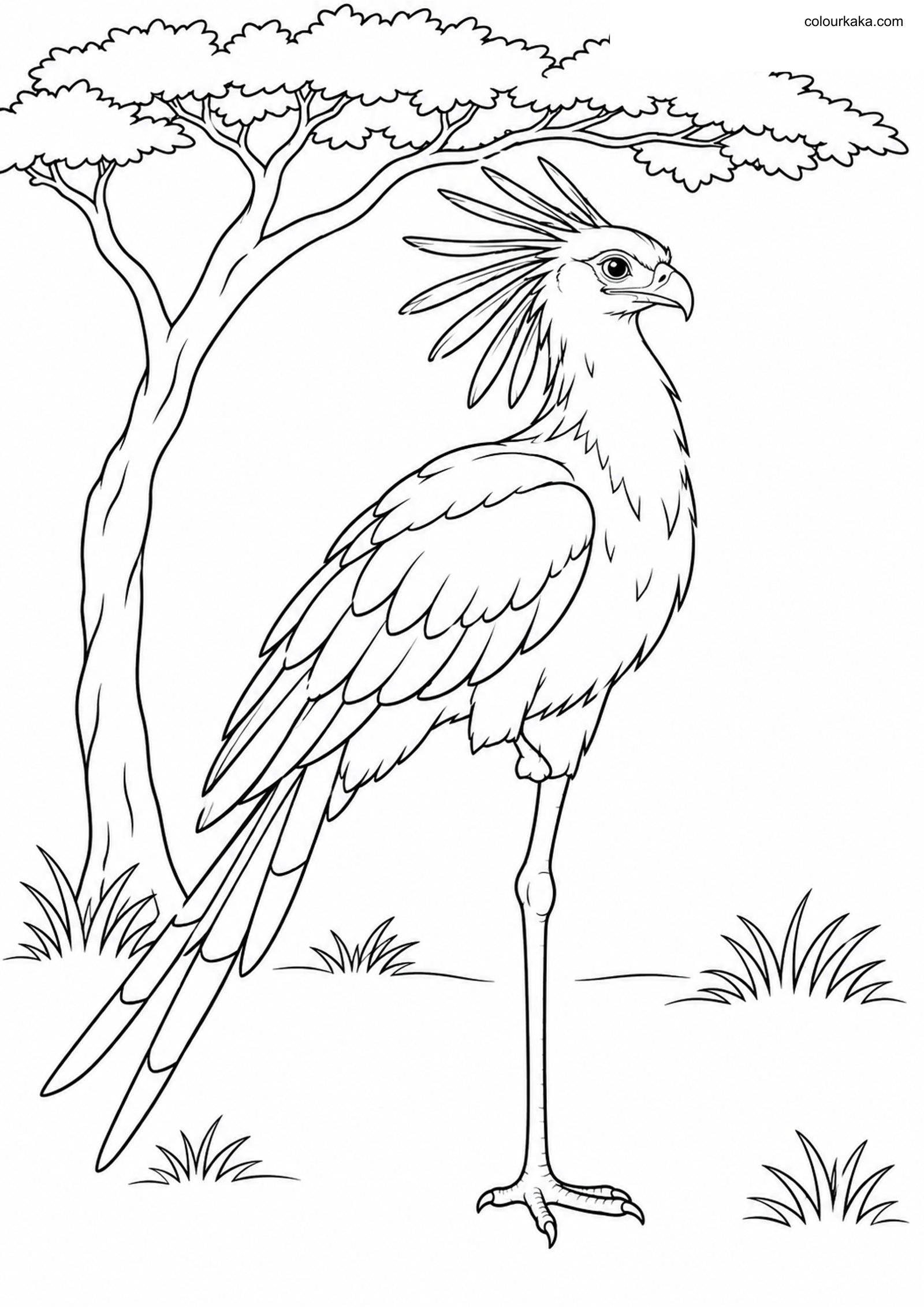 Resting Secretary Bird Page colouring page preview
