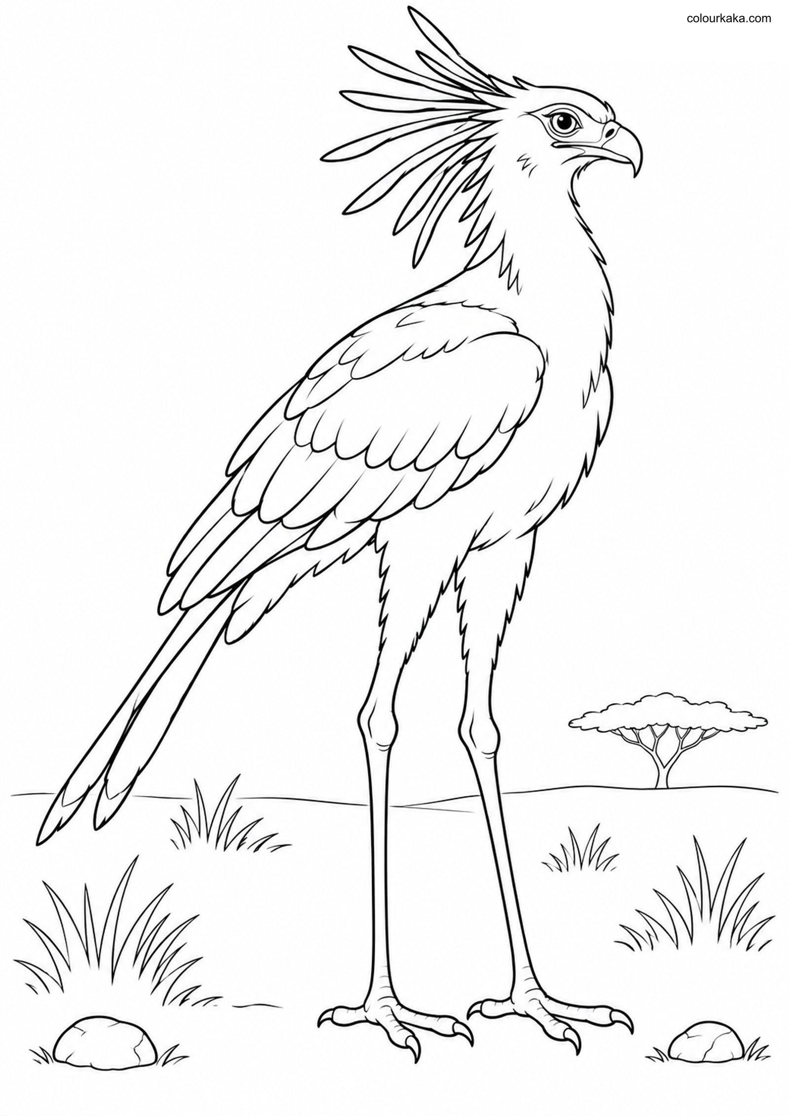 Tall Secretary Bird Colouring colouring page preview